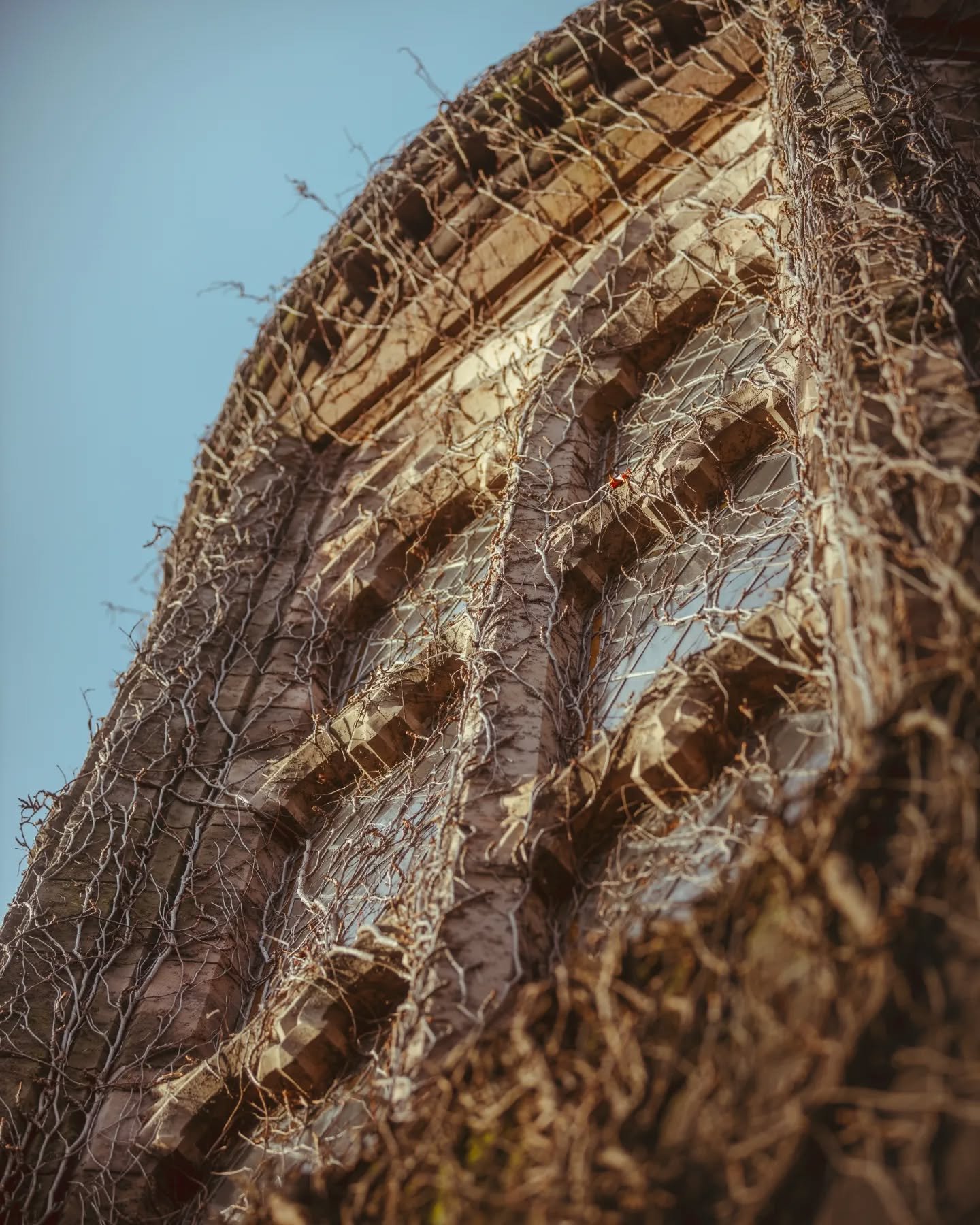 Old Aberdeen / Aberdeen University

Textures and architecture

#oldaberdeen #gregapixel #streetphotography #landscapes #architecture #photography #Scotland #Aberdeen