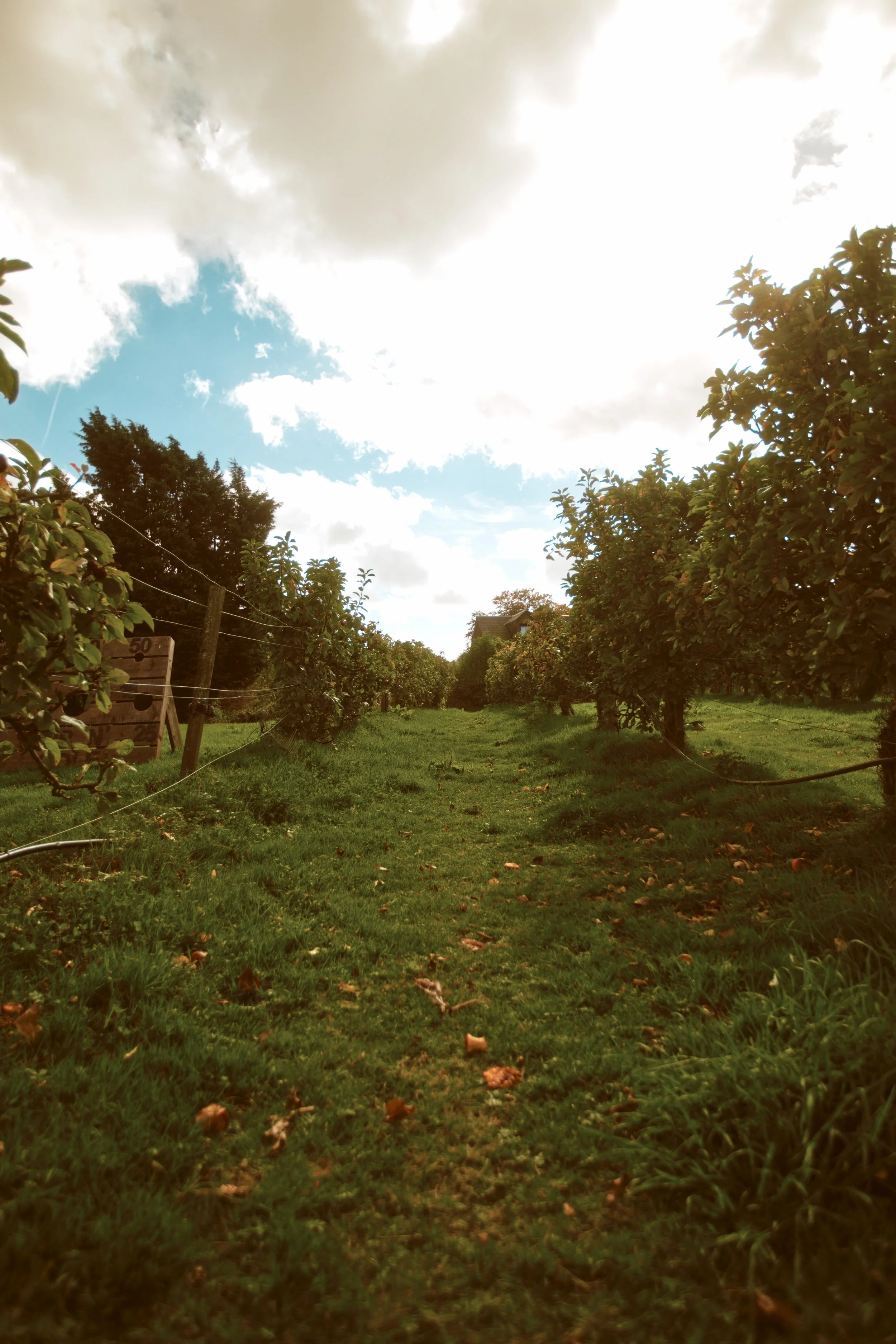 260926 - Charleton Farm - 0036.jpg