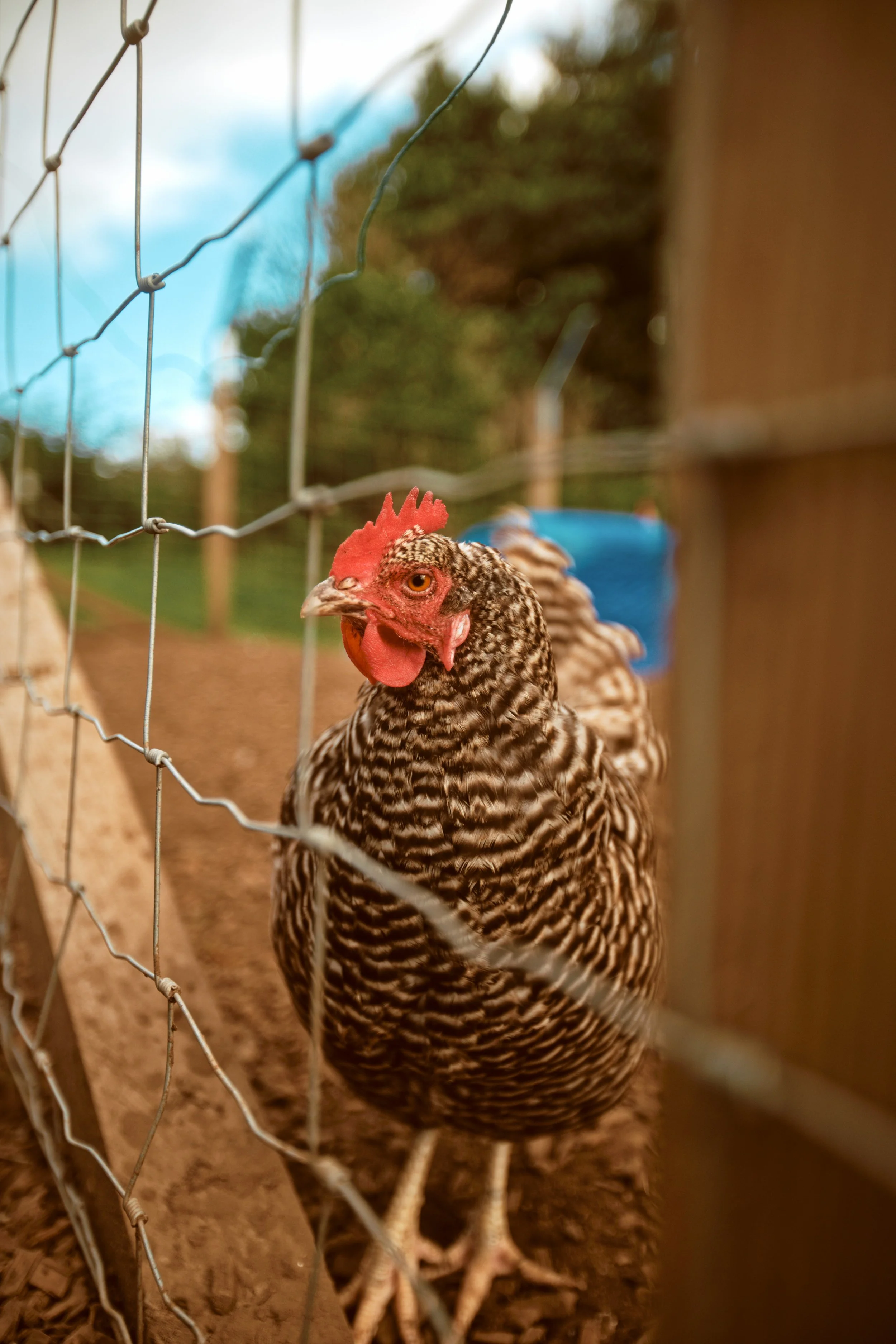 260926 - Charleton Farm - 0183.jpg