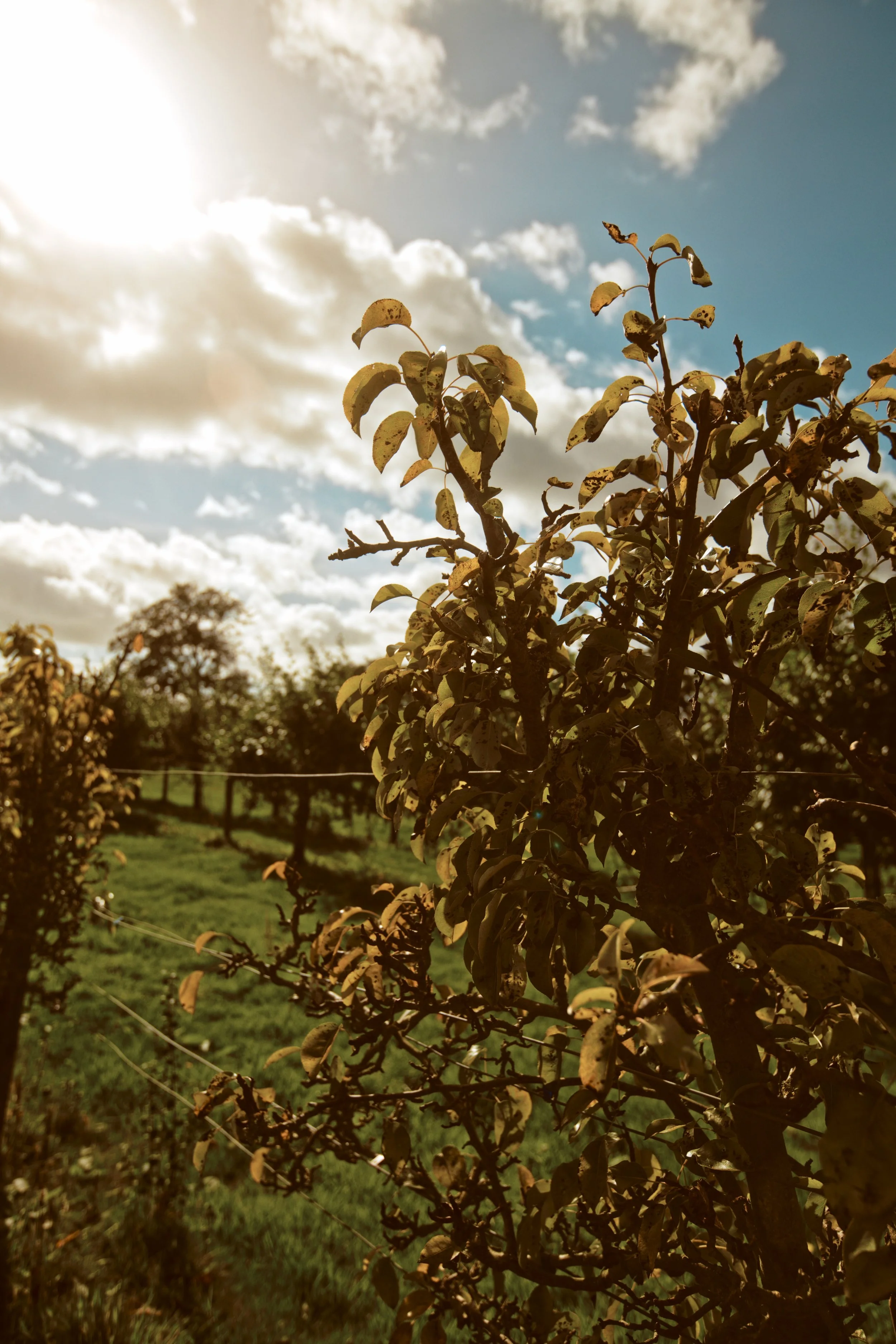260926 - Charleton Farm - 0085.jpg