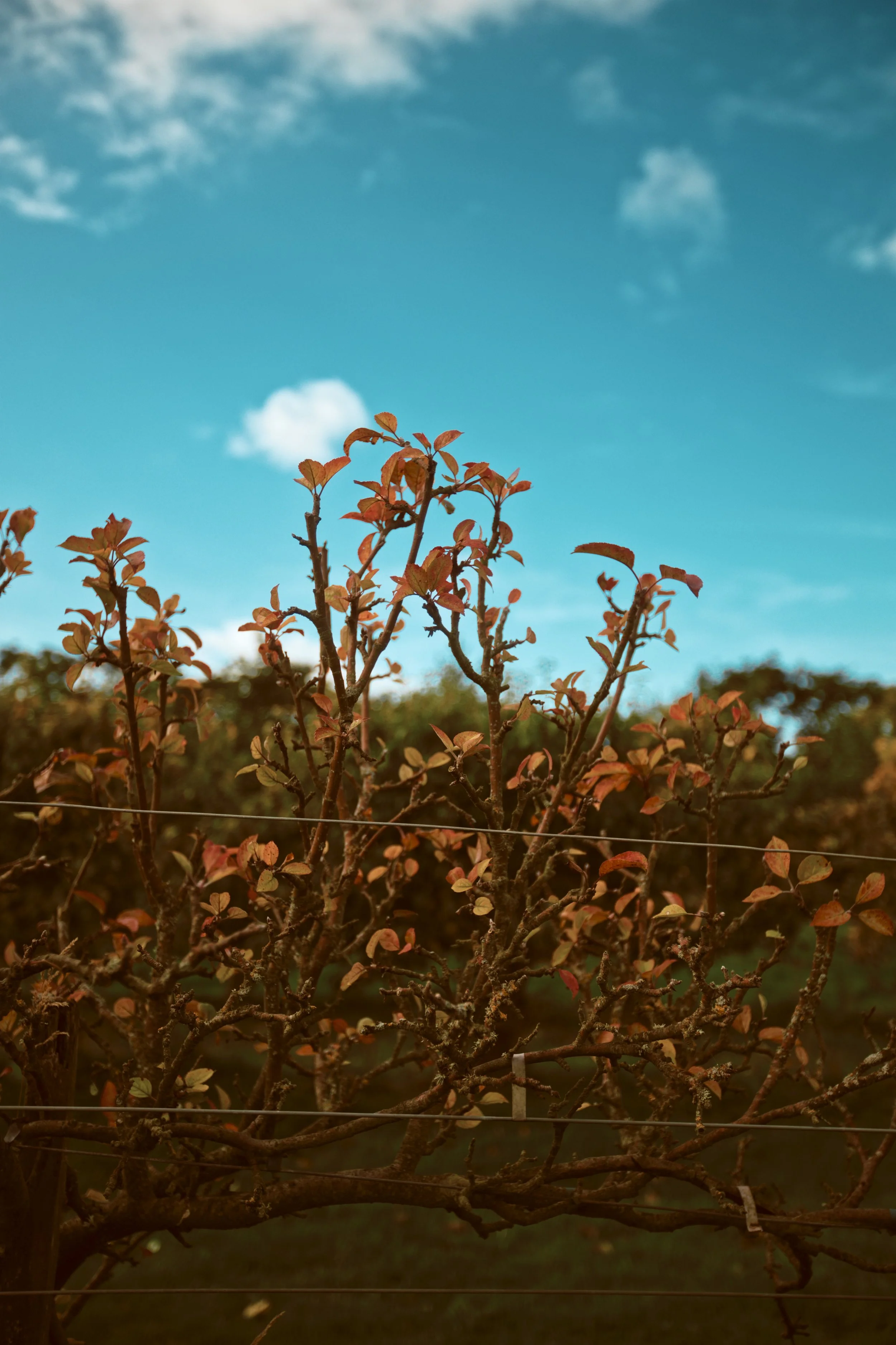 260926 - Charleton Farm - 0045.jpg