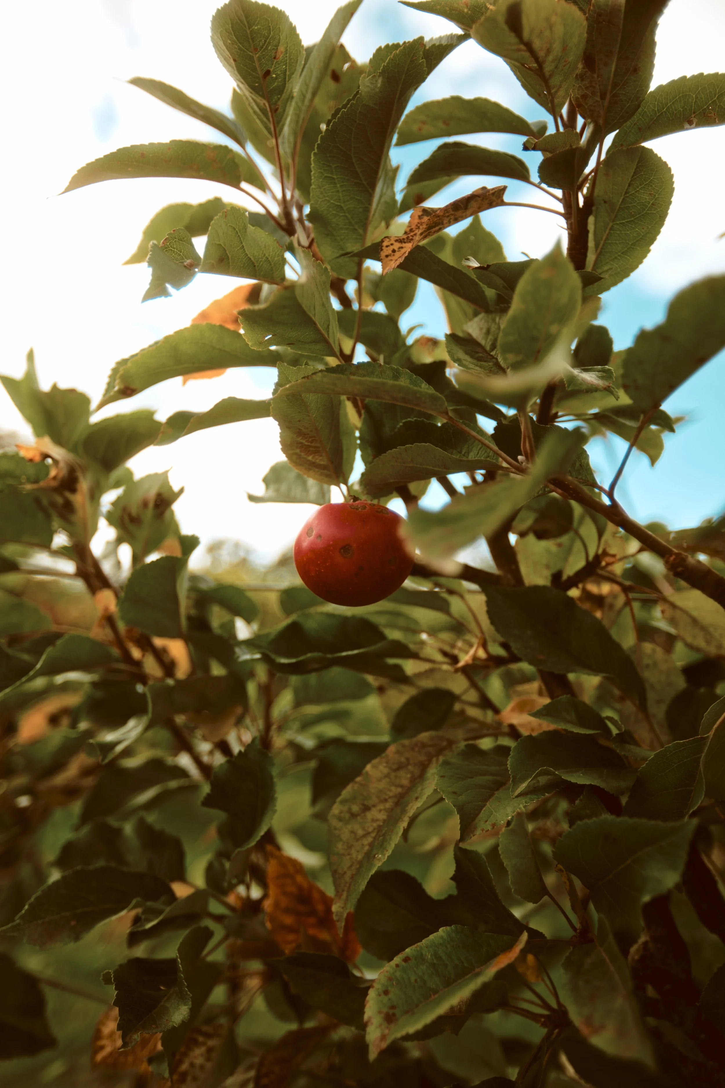 260926 - Charleton Farm - 0033.jpg