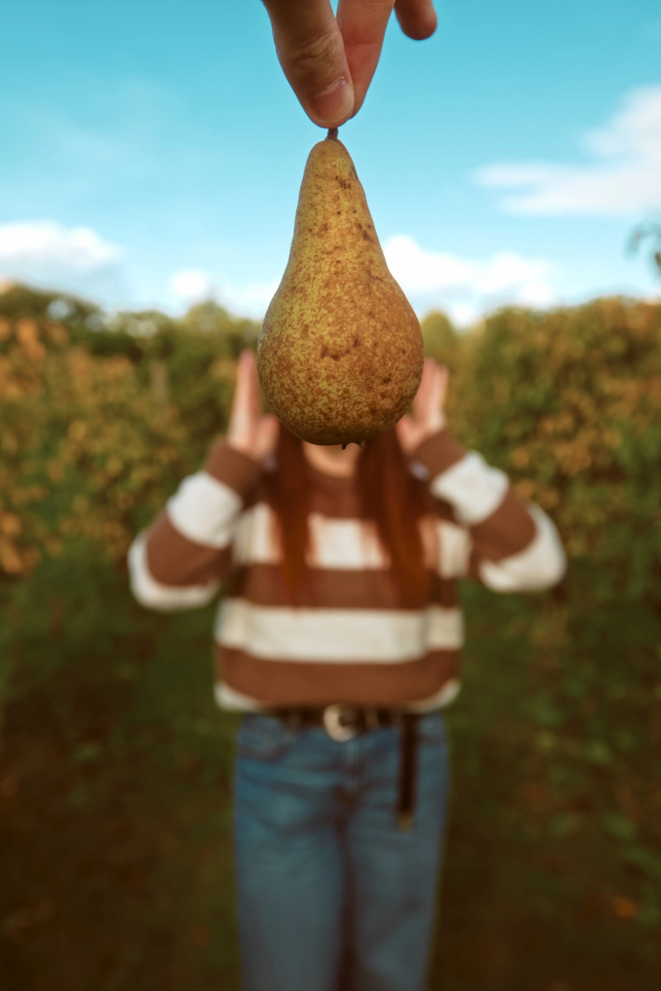260926 - Charleton Farm - 0094.jpg