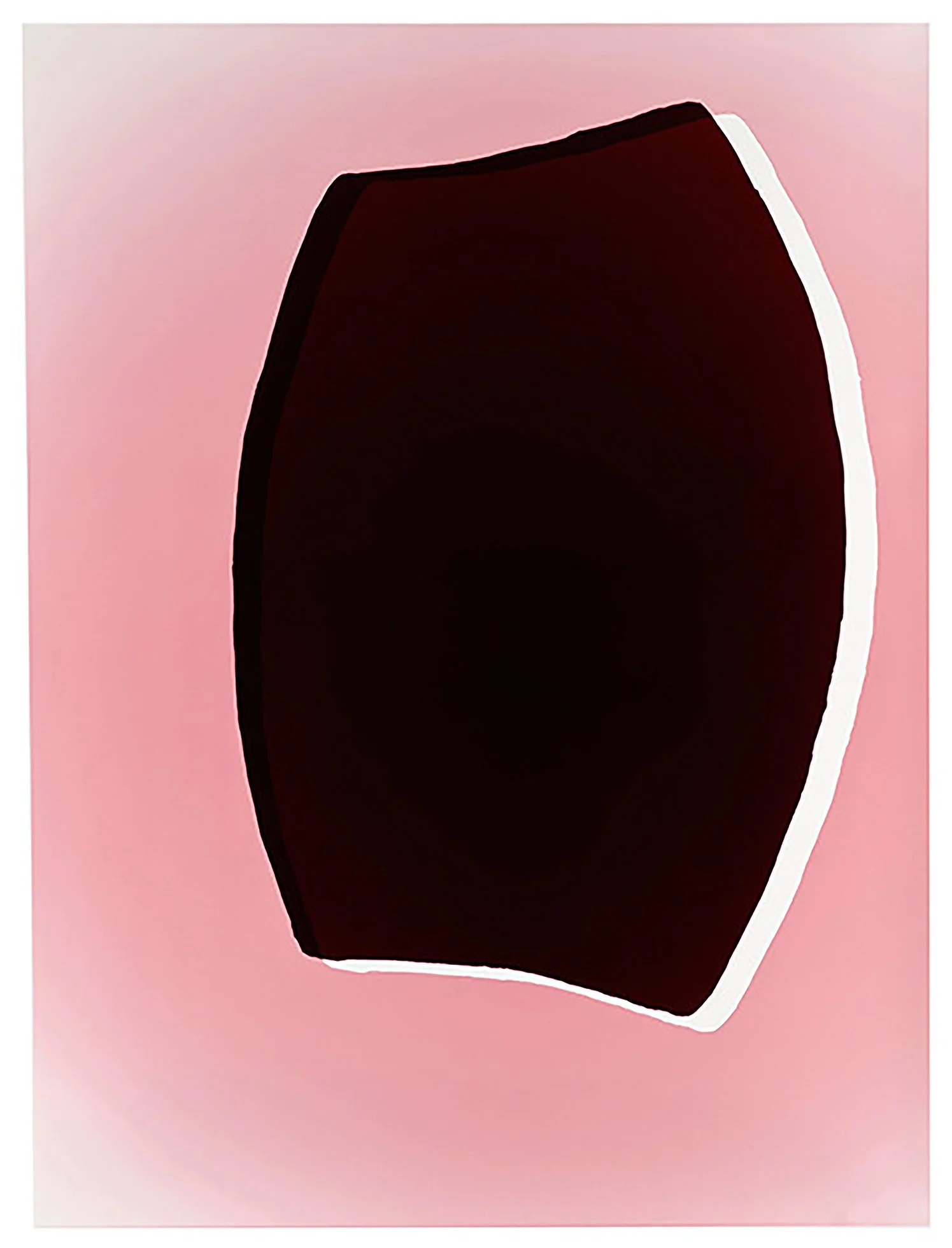 The Week in Pictures 120123, 2012
analog C-print. Unique photogram
42 x 30 in. / 106.7 x 76.2 cm