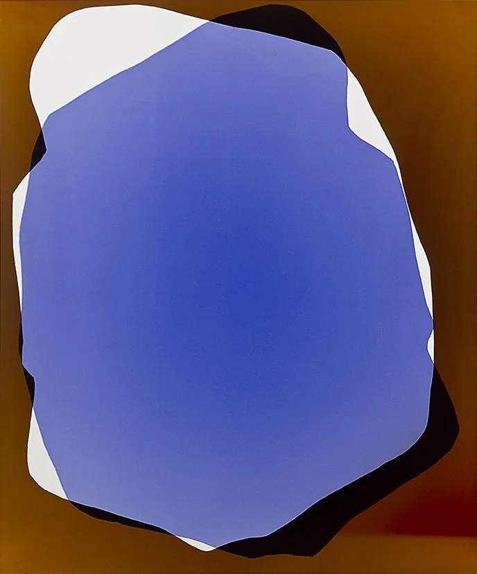 The Week in Pictures 121211, 2012
analog C-print. Unique photogram
24 x 20 in. / 60.7 x 50.8 cm