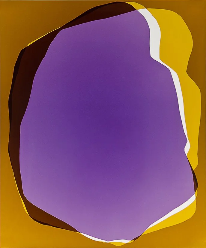 The Week in Pictures 121212, 2012
analog C-print. Unique photogram
24 x 20 in. / 60.7 x 50.8 cm