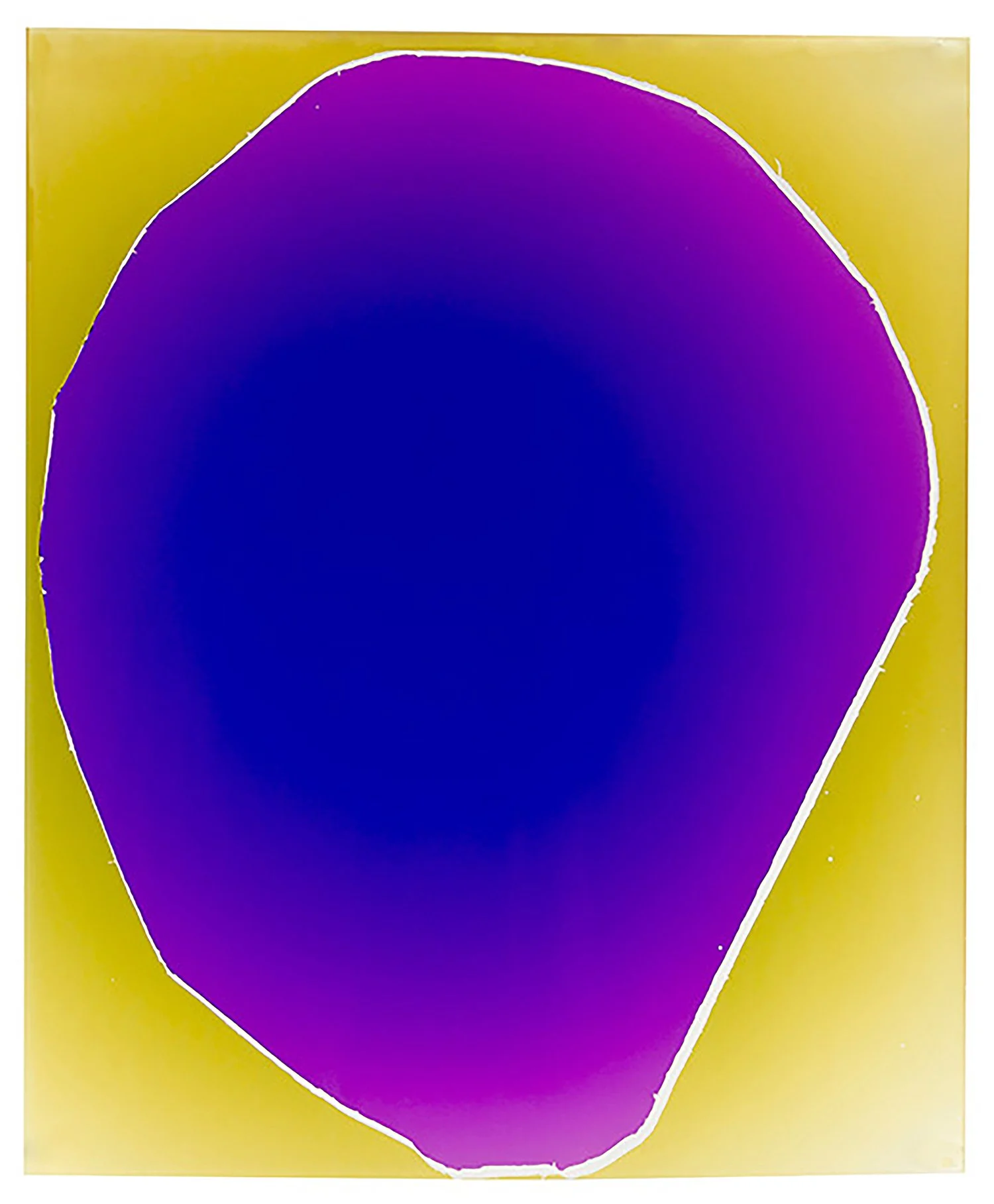 The Week in Pictures 120906, 2012
analog C-print. Unique photogram
24 x 20 in. / 60.7 x 50.8 cm