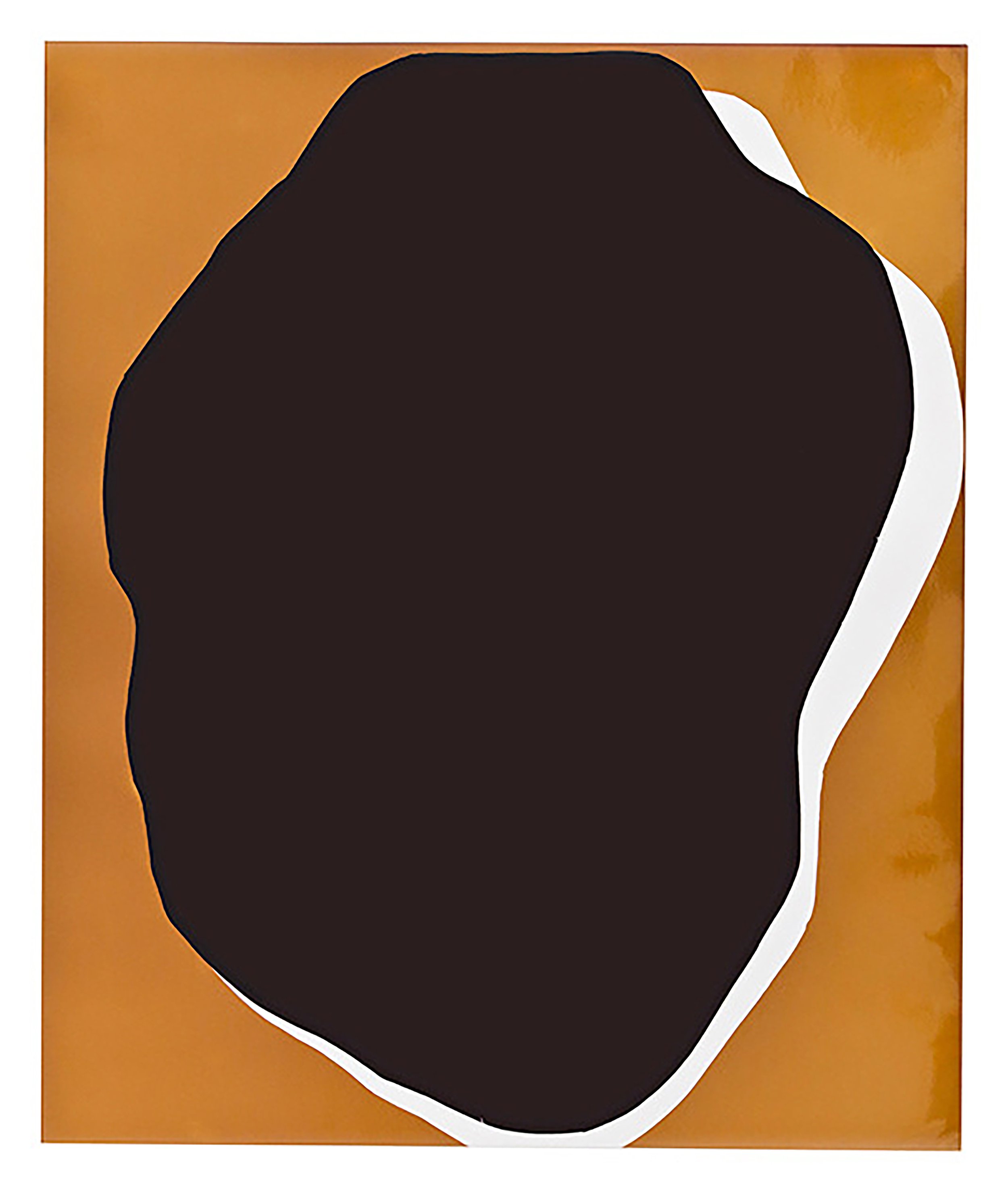 The Week in Pictures 121109, 2012
analog C-print. Unique photogram
24 x 20 in. / 60.7 x 50.8 cm