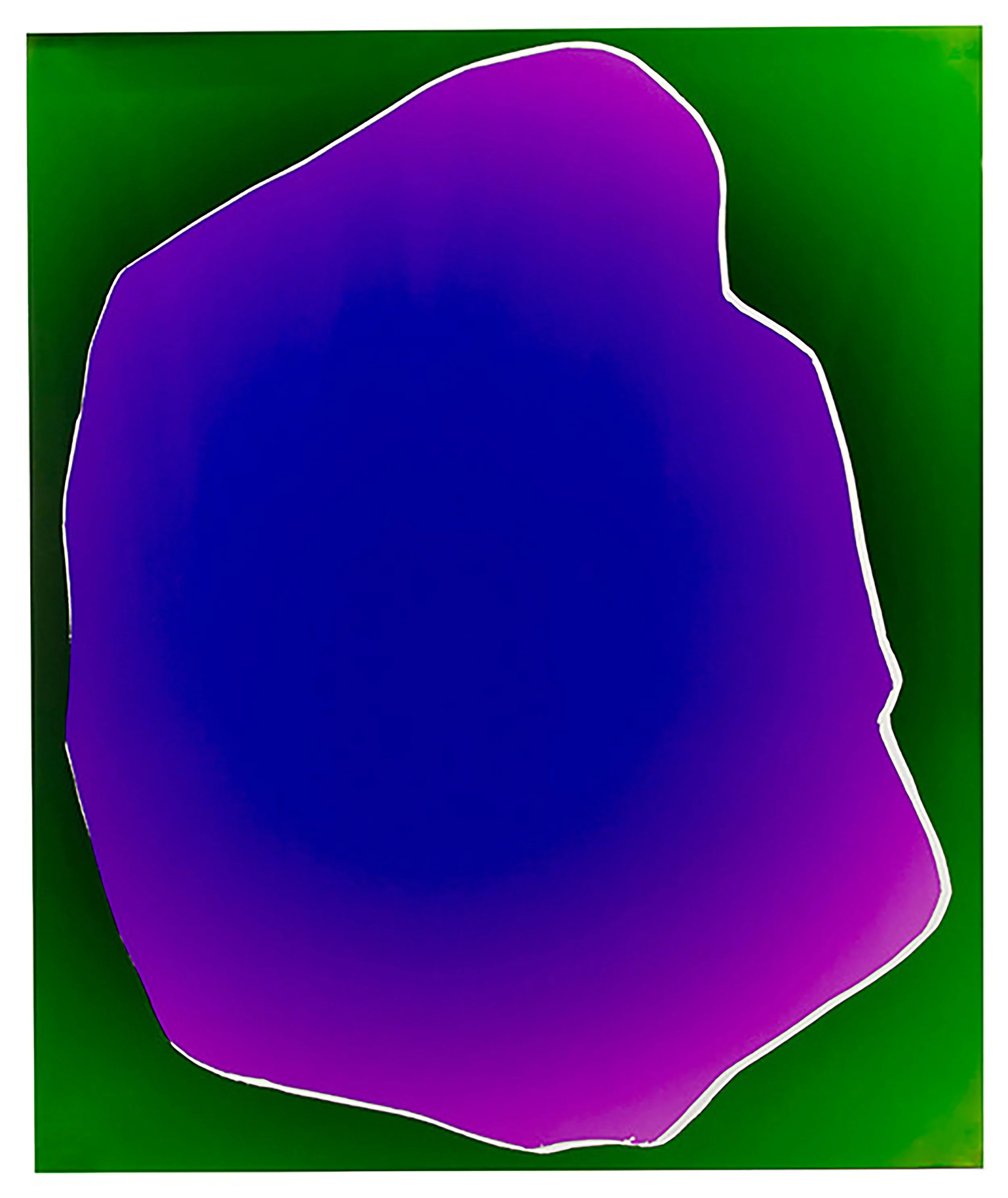 The Week in Pictures 120907, 2012
analog C-print. Unique photogram
24 x 20 in. / 60.7 x 50.8 cm