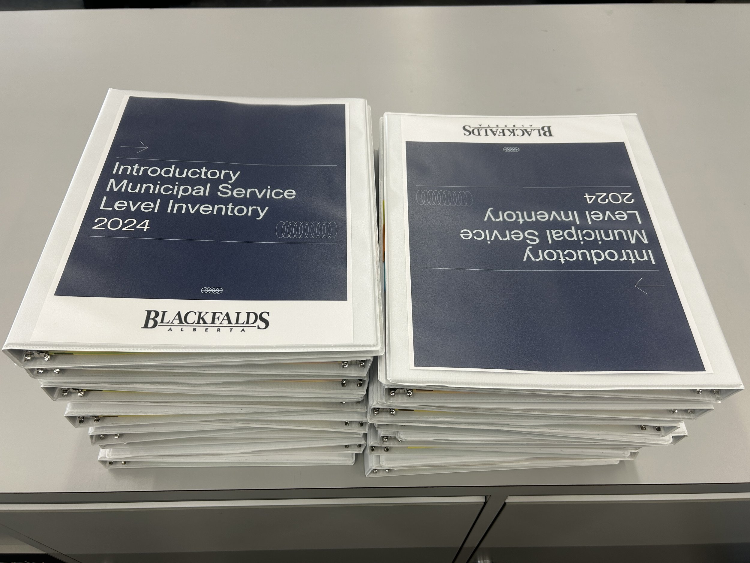 Trina McCarroll Municipal Service Level Inventory