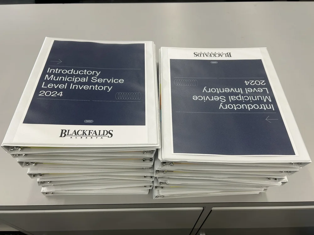 Trina McCarroll Municipal Service Level Inventory