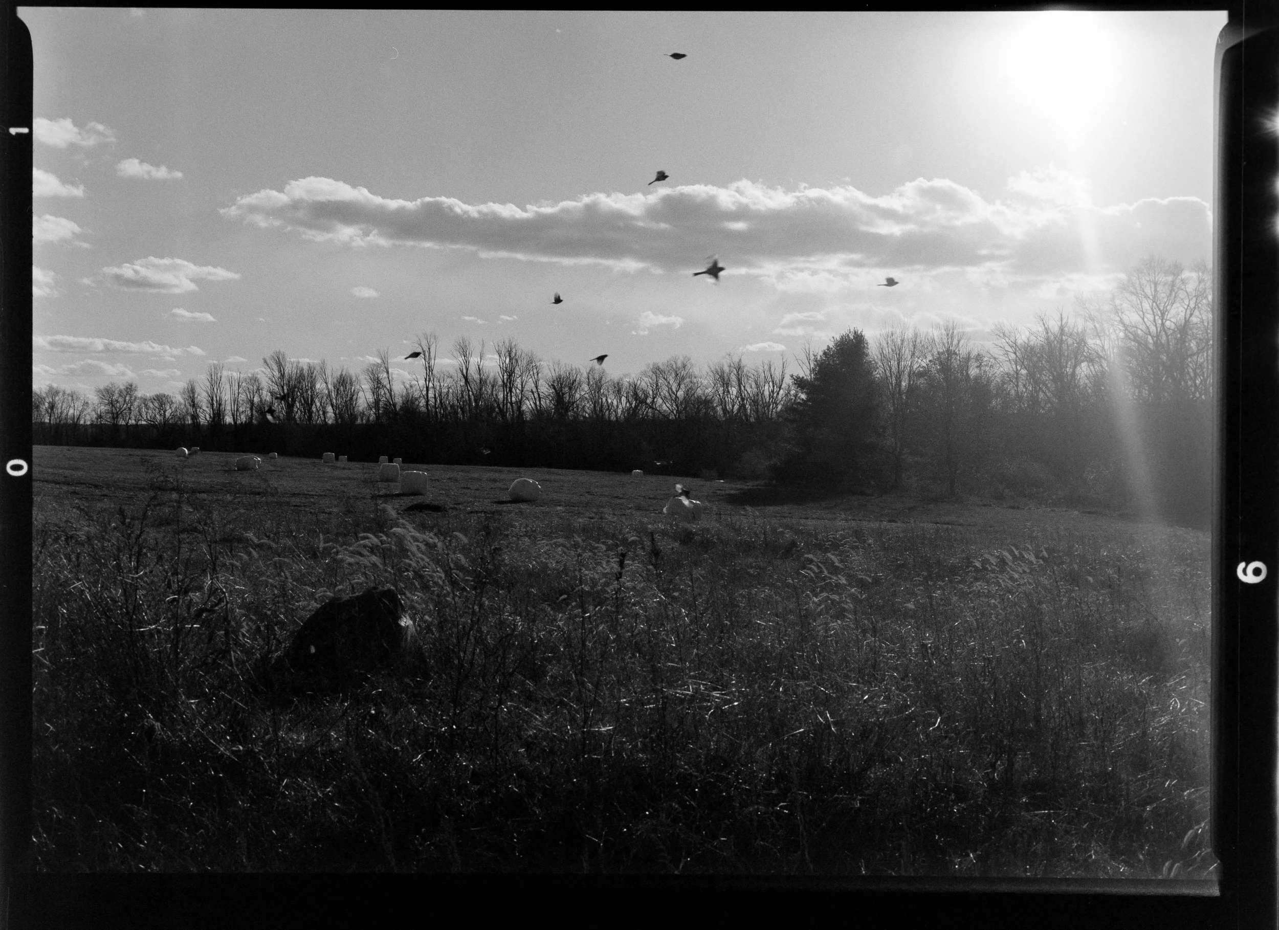 Photo Jan 27 2023, 7 49 36 PM.jpg