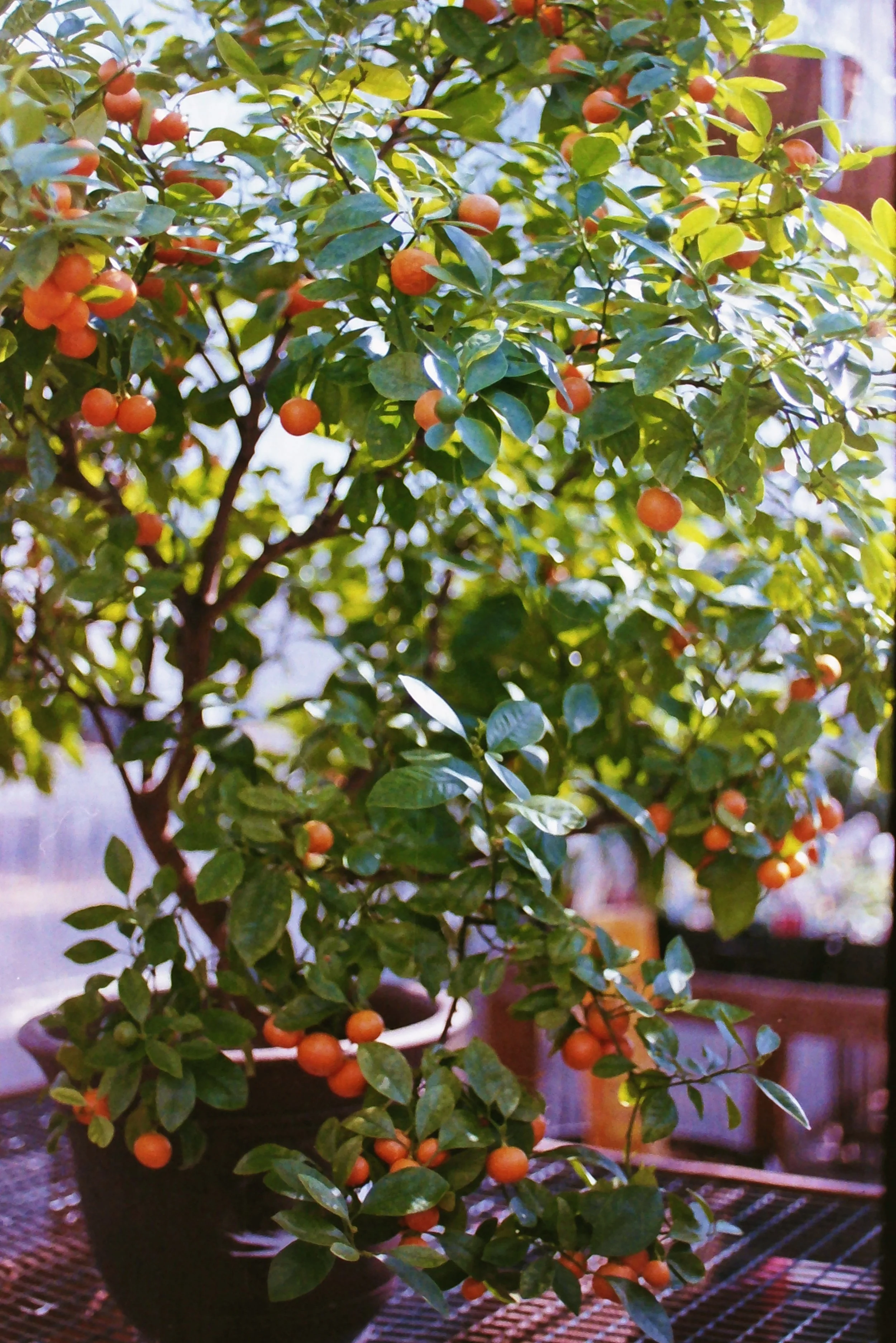 Photo Jun 01, 12 12 37 AM.jpg