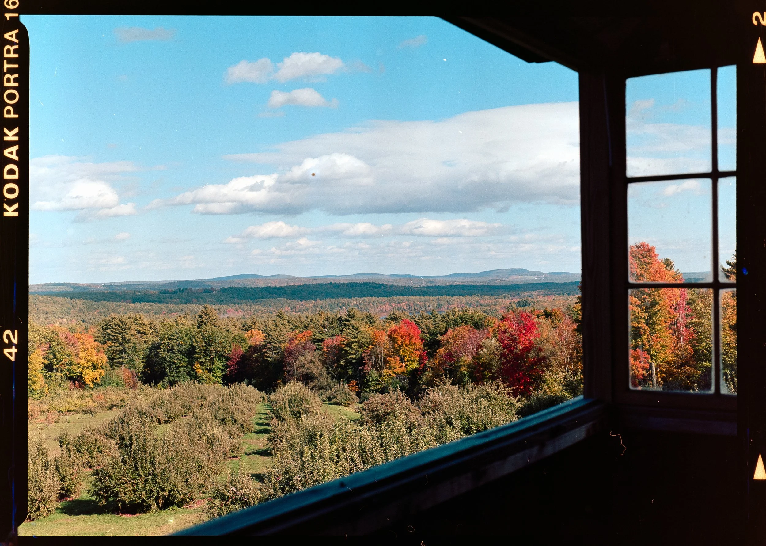 Portra160-18 (1).jpg