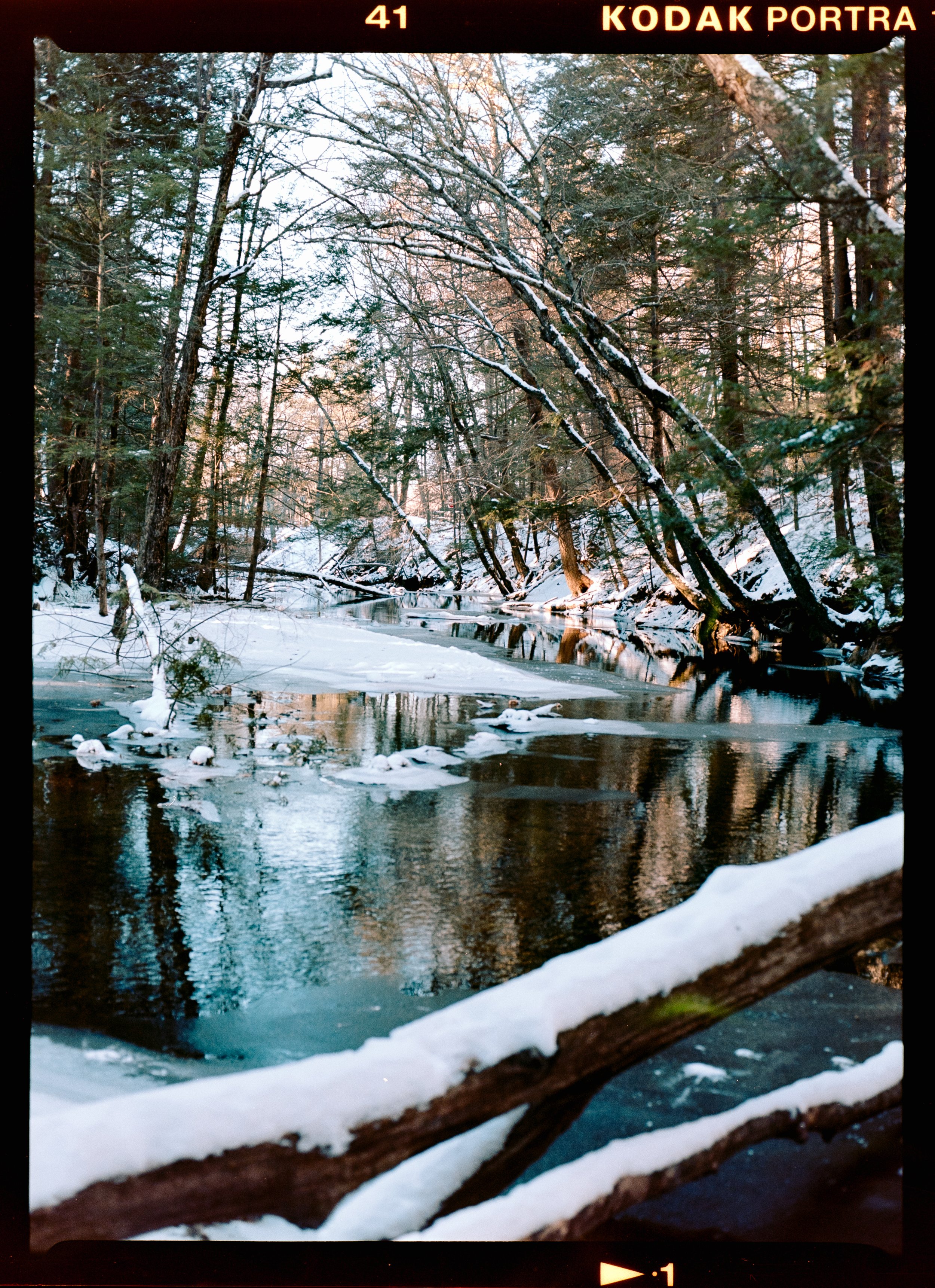 Portra160-15 (1).jpg