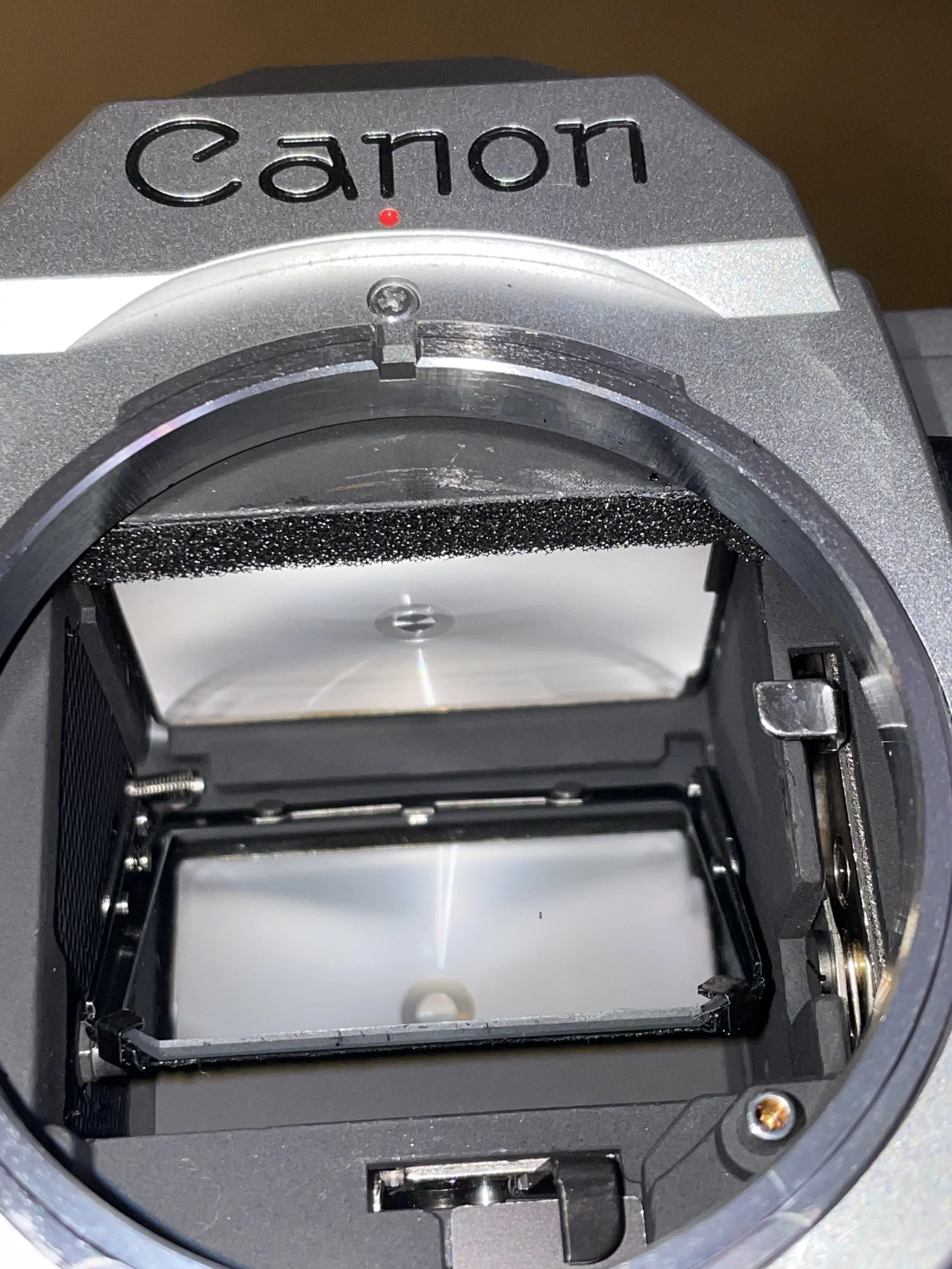 Photo Oct 10, 9 11 50 PM.jpg