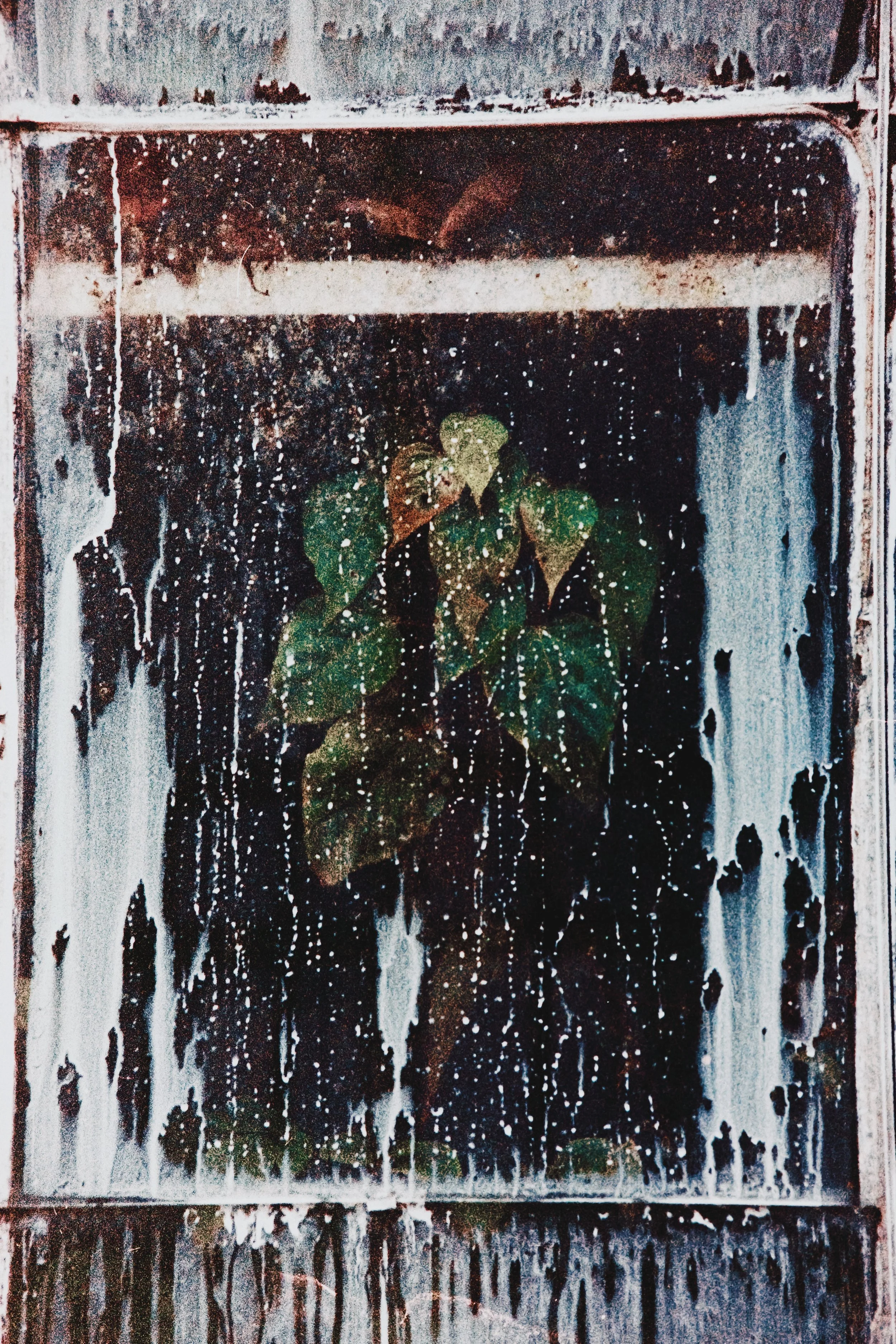 Photo Mar 26, 11 59 42 PM.jpg