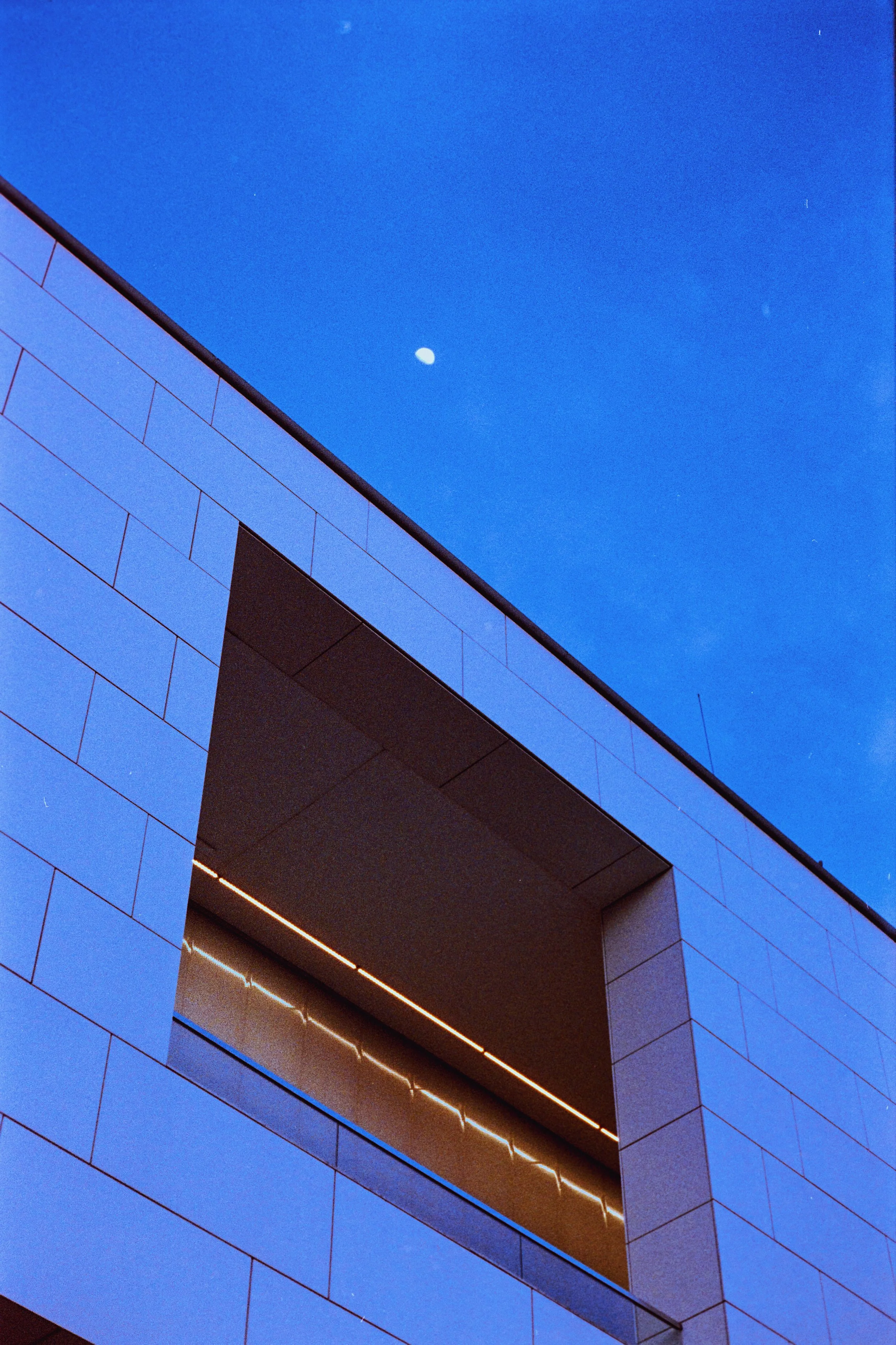 Photo May 12, 3 21 05 PM.jpg