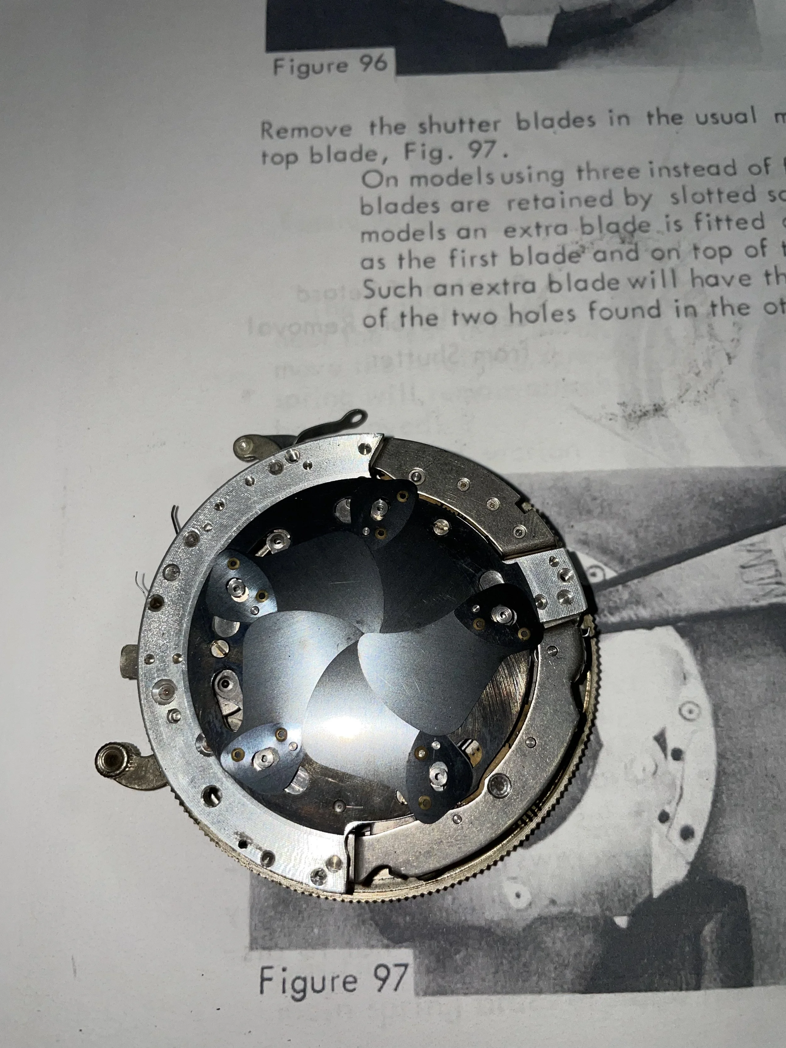 Photo Aug 07, 3 41 29 PM.jpg