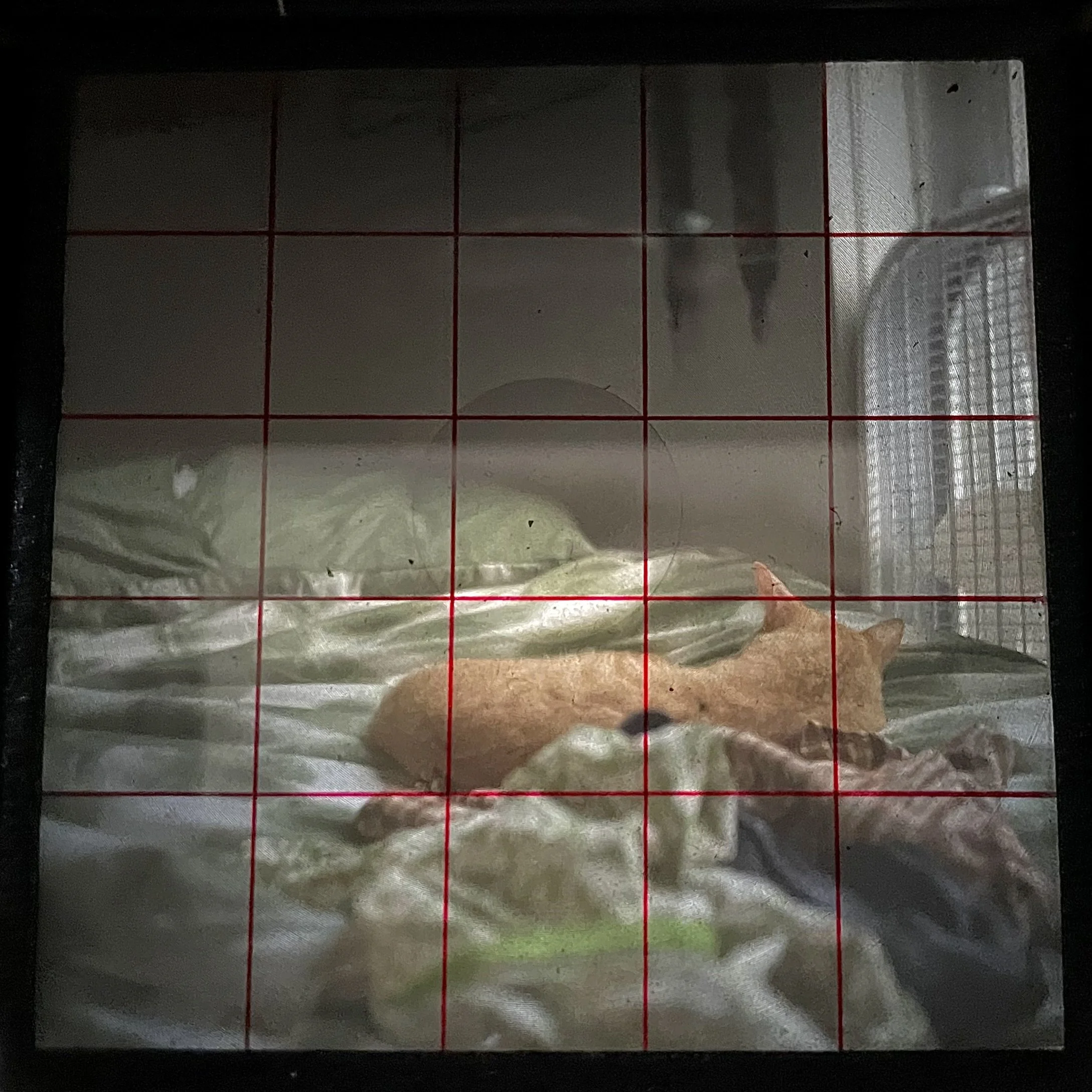 Photo Aug 20, 4 53 05 PM.jpg