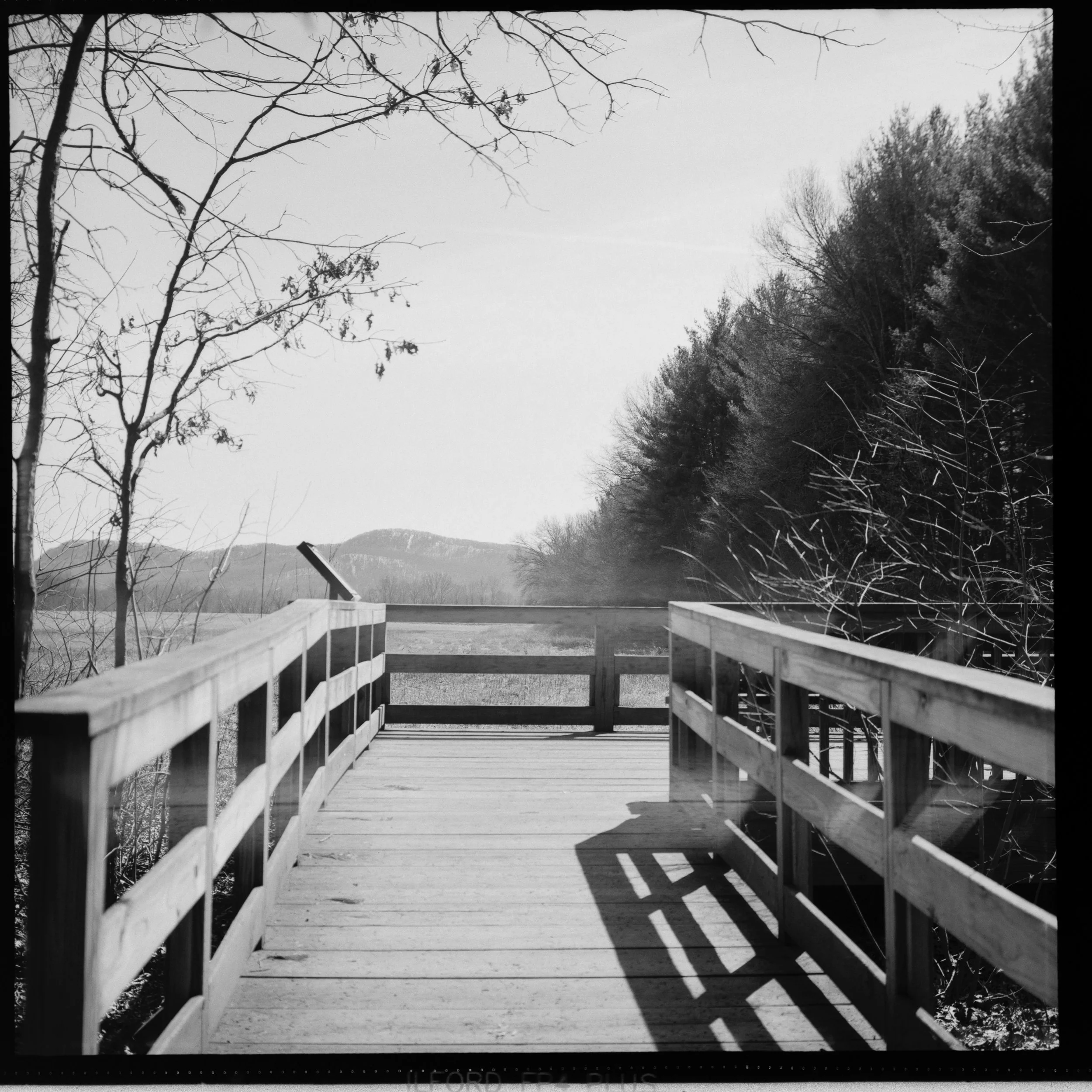 Photo Sep 04 2023, 2 43 24 PM.jpg