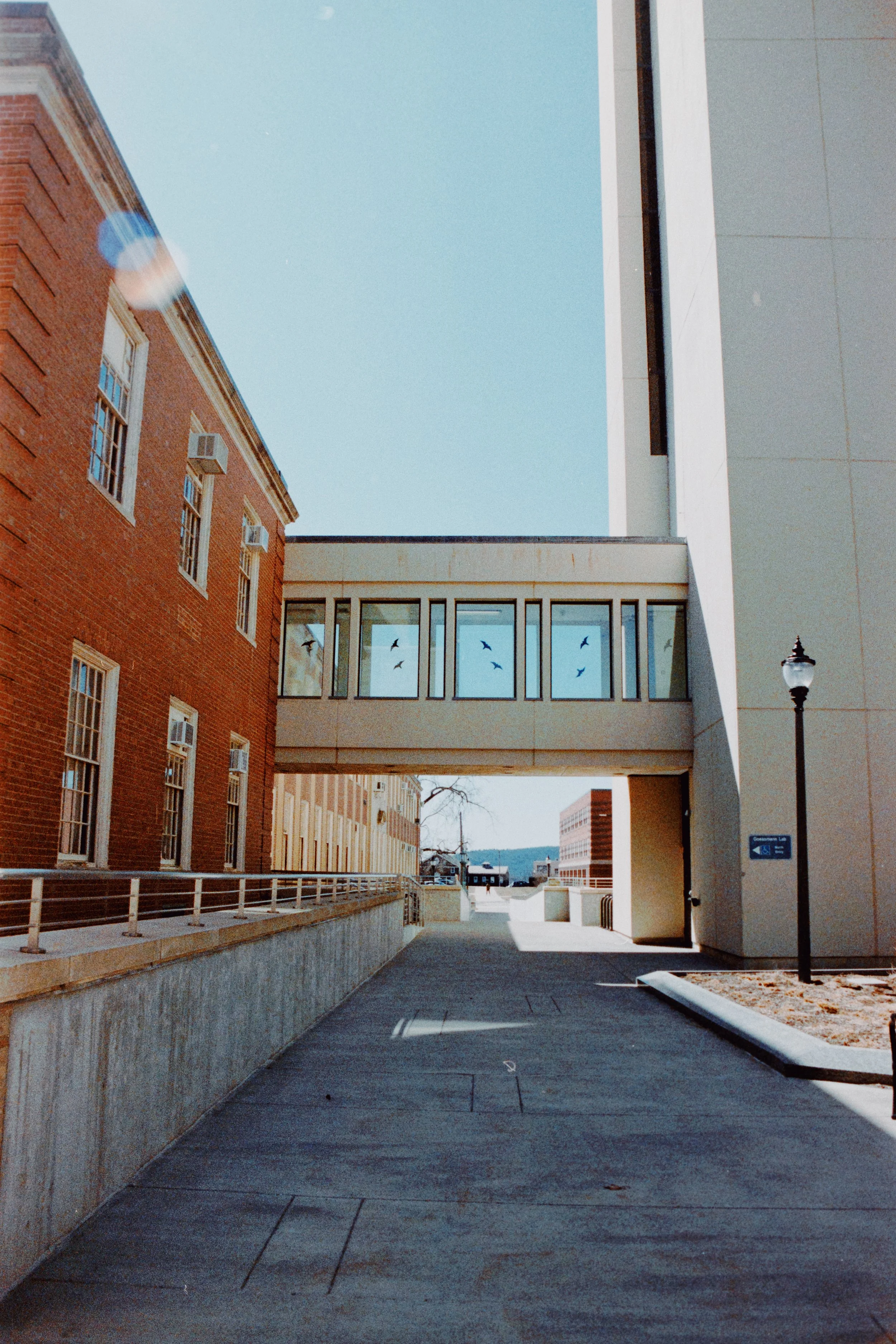 Photo May 12, 4 55 27 PM.jpg