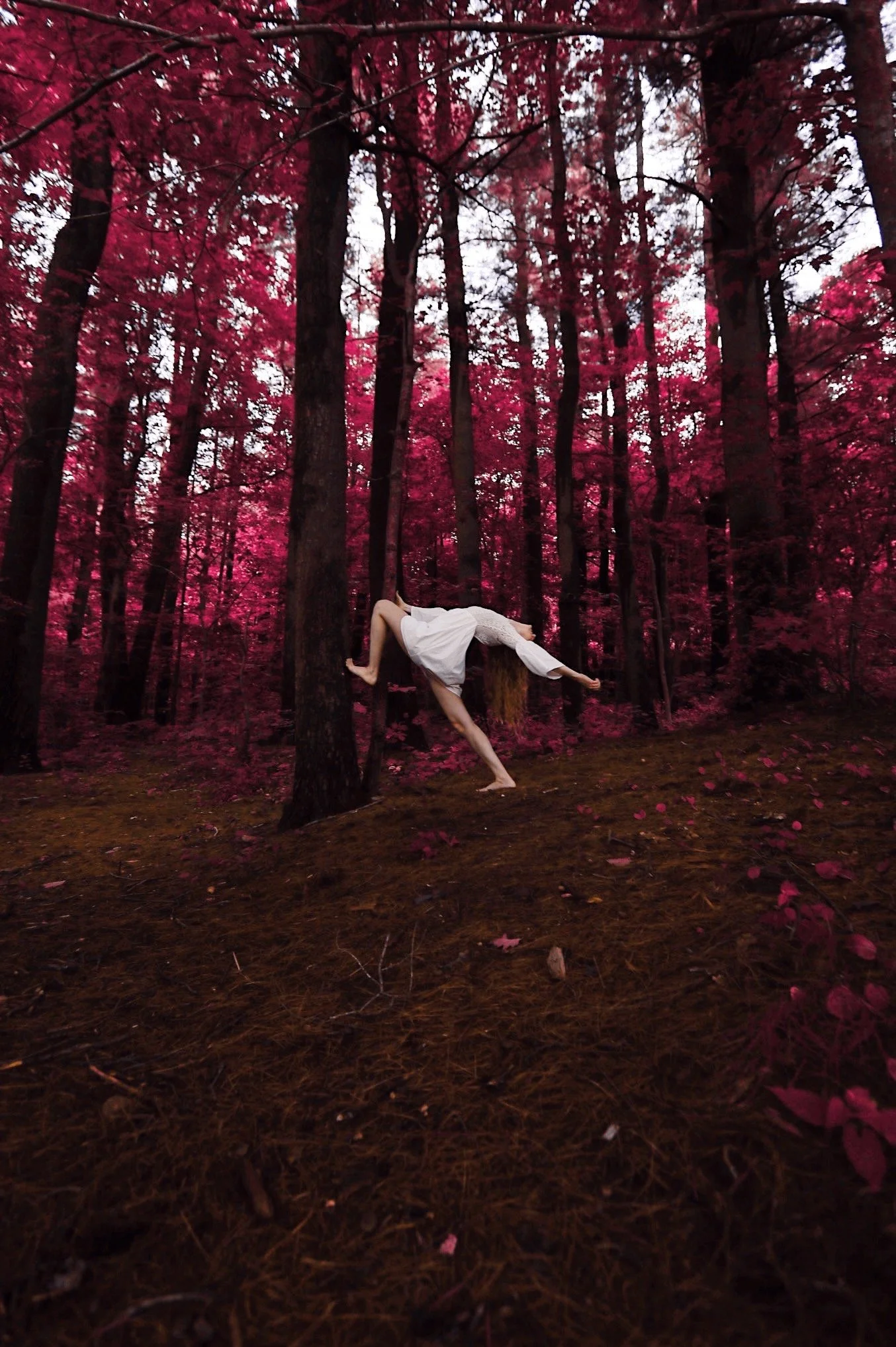 Photo May 09, 6 54 22 PM.jpg