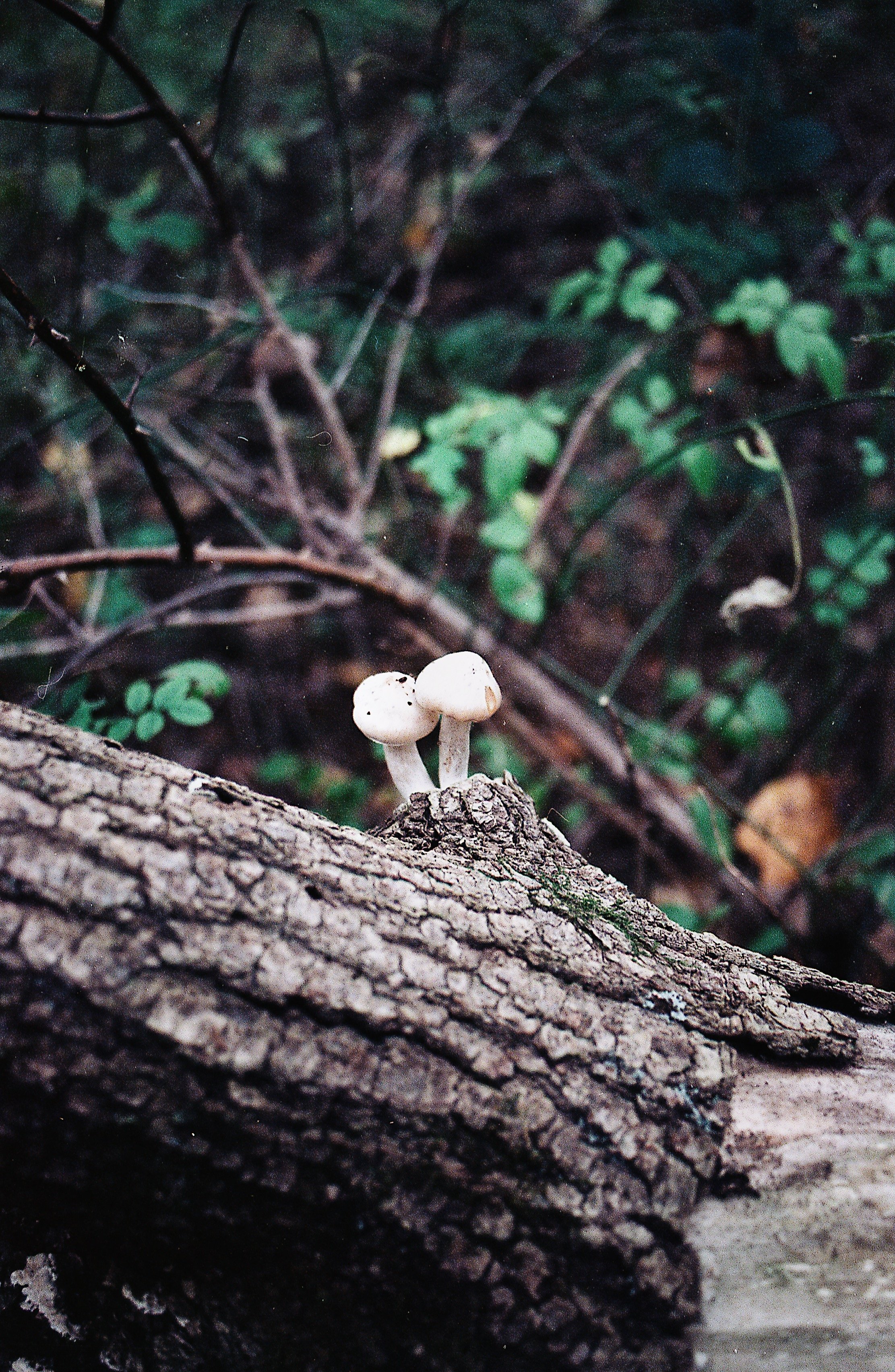 Photo Jun 17, 4 03 11 PM.jpg