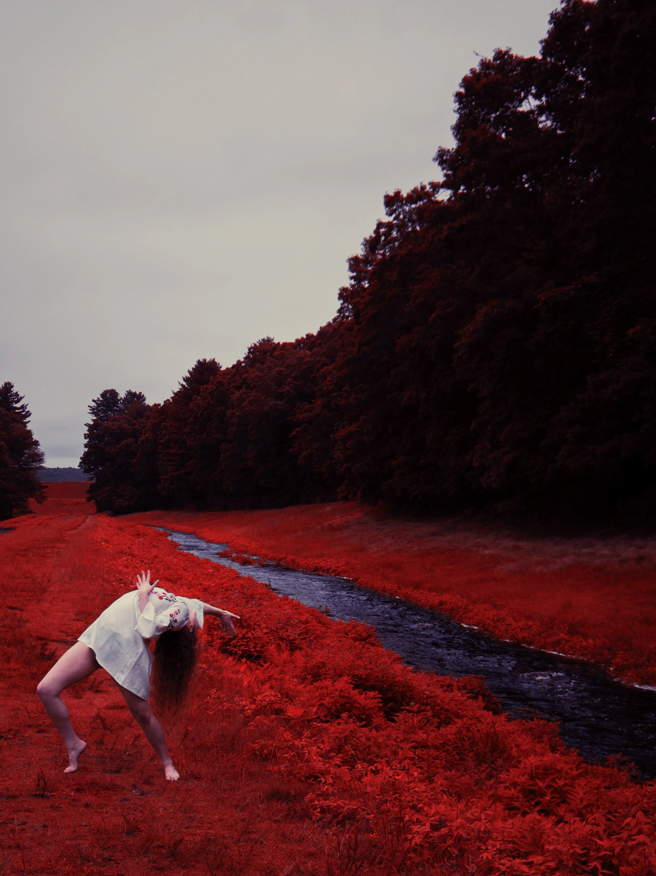 Photo Jul 13, 3 06 08 AM.jpg