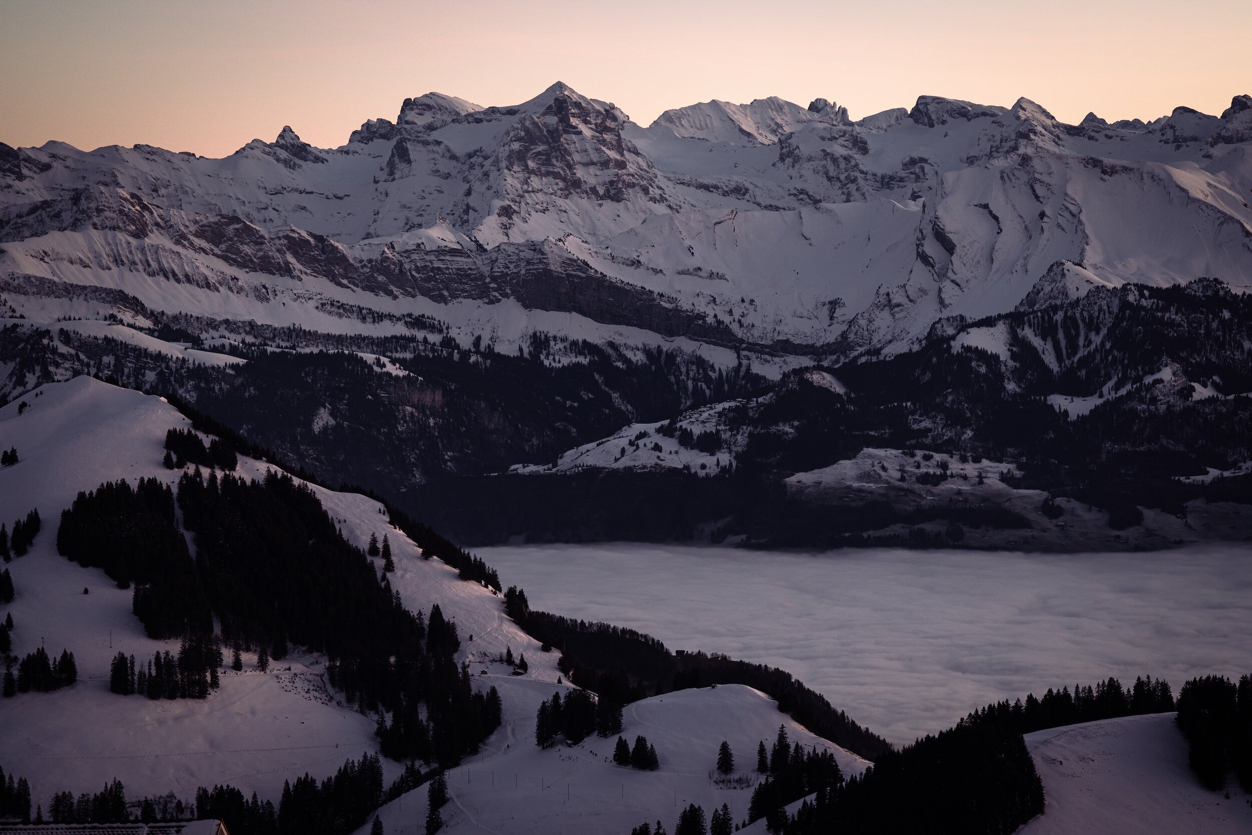 The Wicked Don’t Prevail