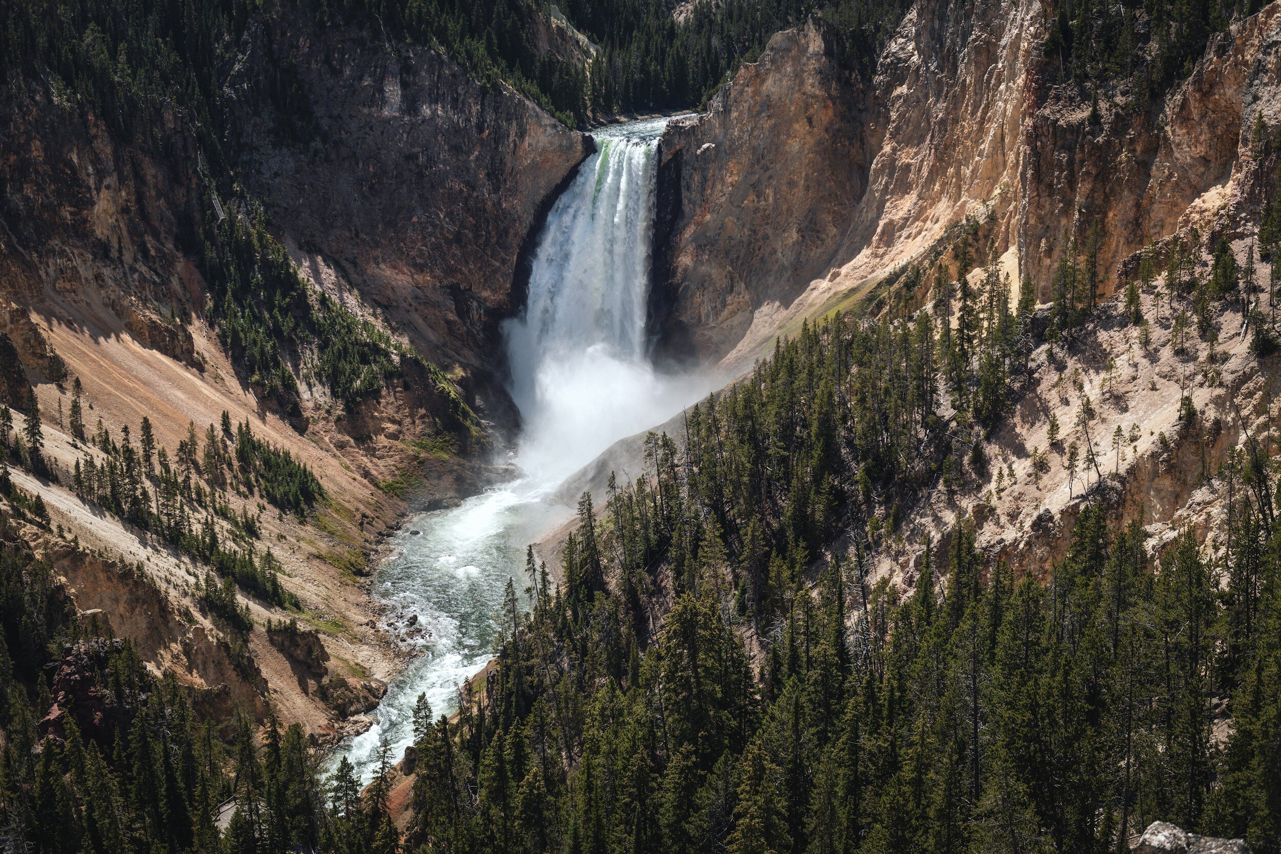 Harden Not Your Heart