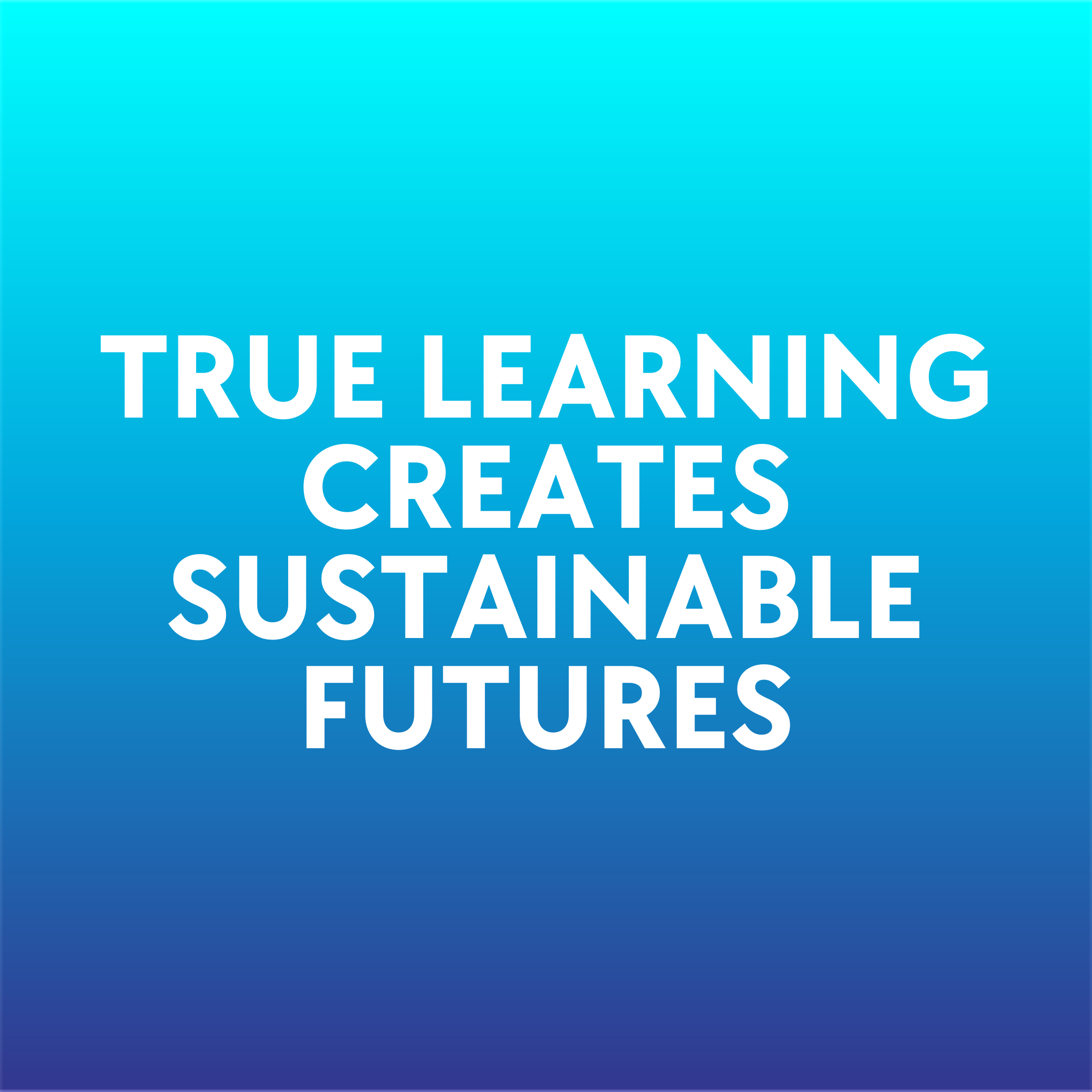 True learning creates sustainable futures