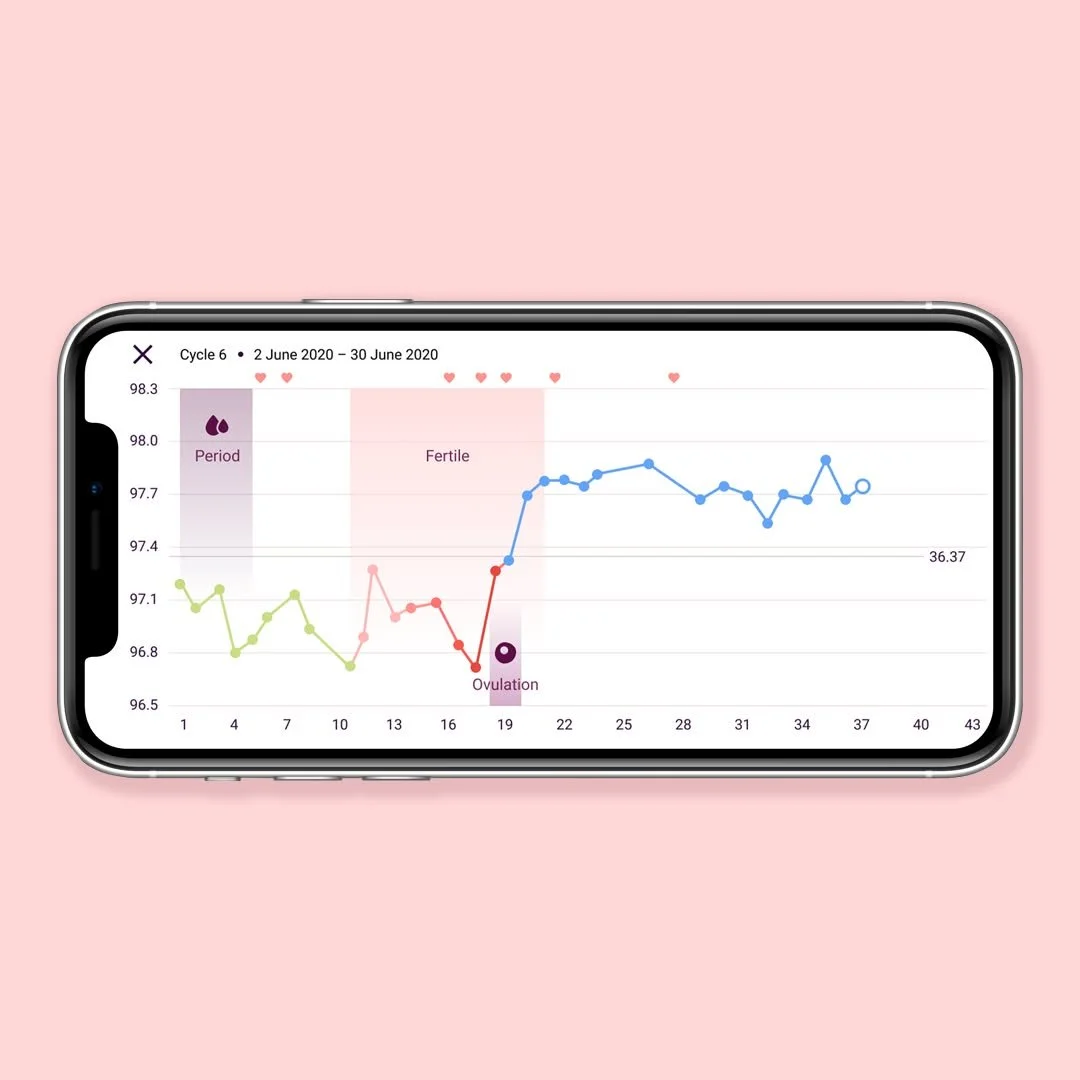 A smartphone displaying a fertility tracking chart with phases labeled, and a pink background.