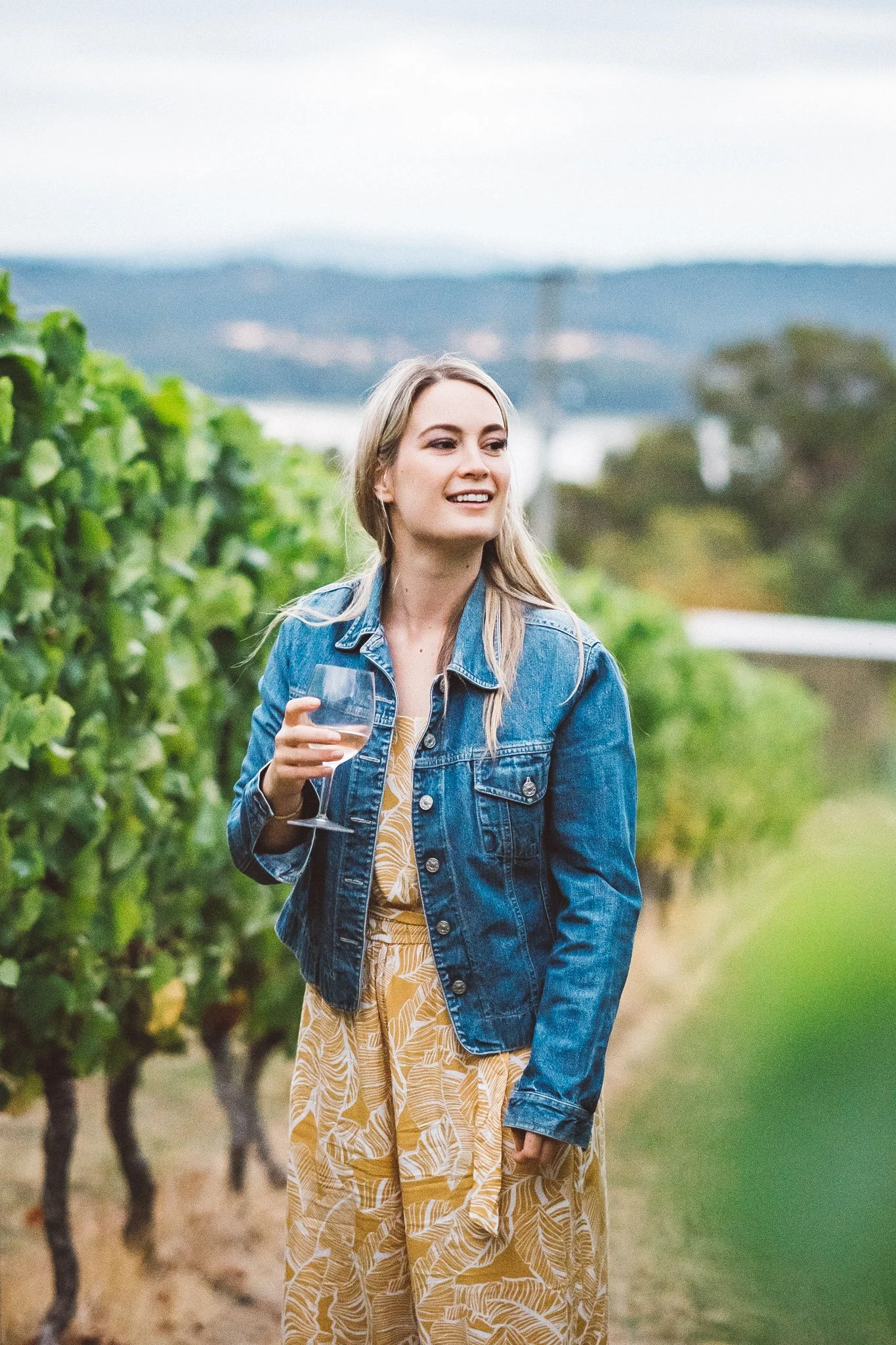 Premium Wine & Vineyard Gallery — Hinton Bay Vineyard