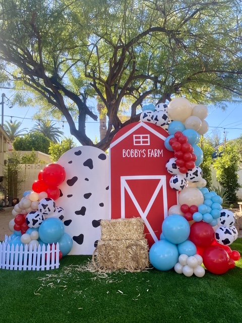 farm country birthday toddler boy birthday party balloon backdrop
