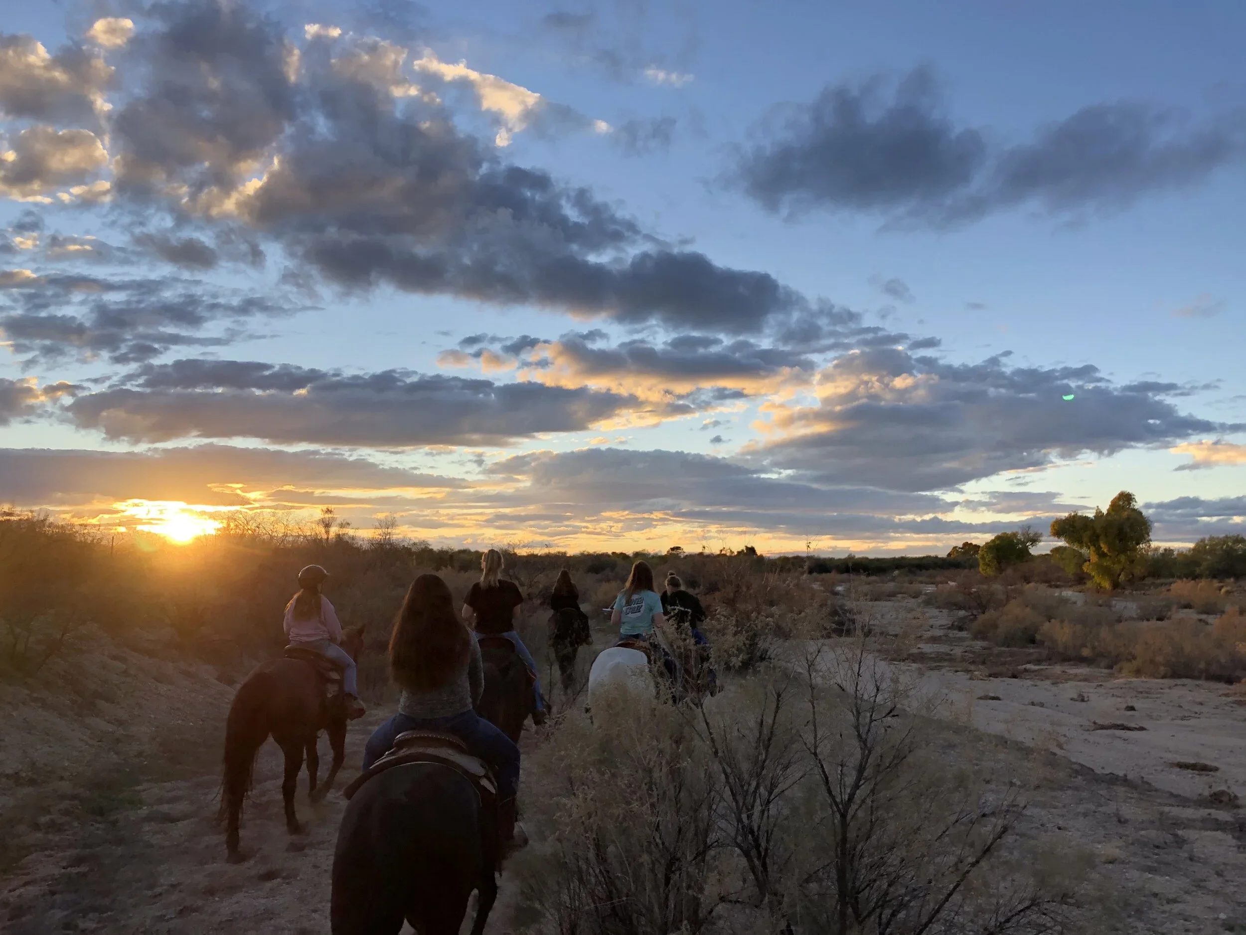 Horseback rider at sunrise or sunset in the Tucson desert