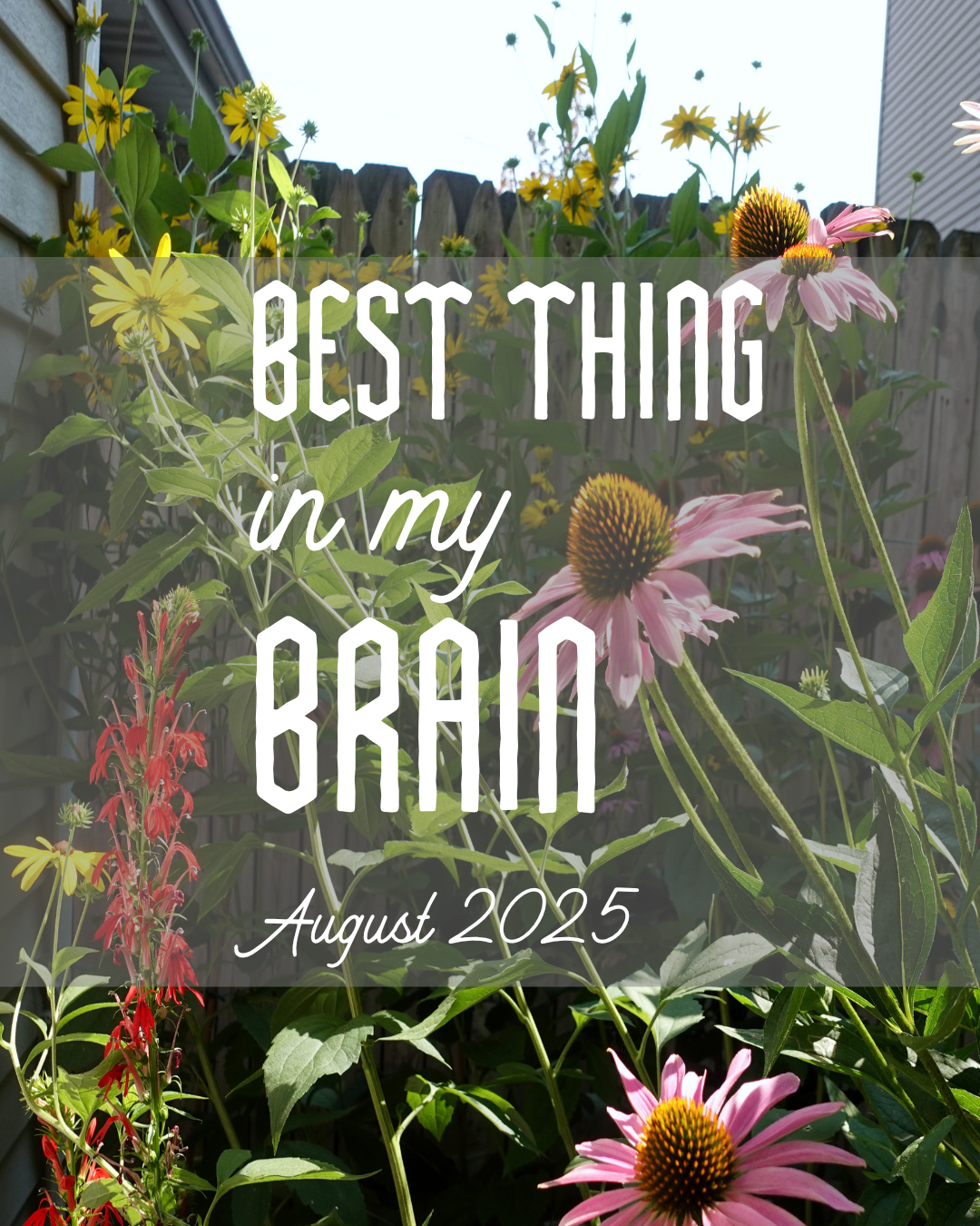 The Best Things in my Brain, August 2025