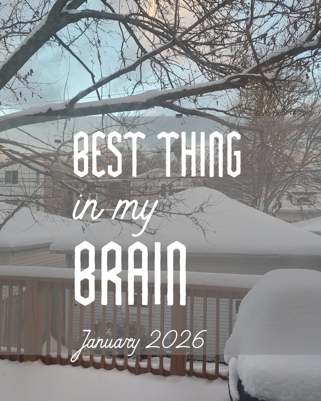 The Best Things in my Brain, January 2026