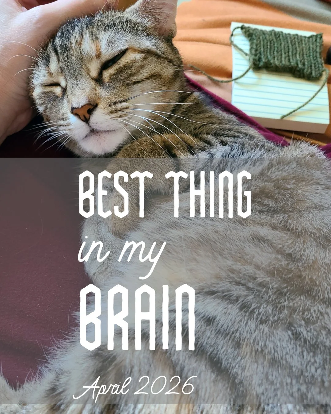 The Best Things in my Brain, April 2026