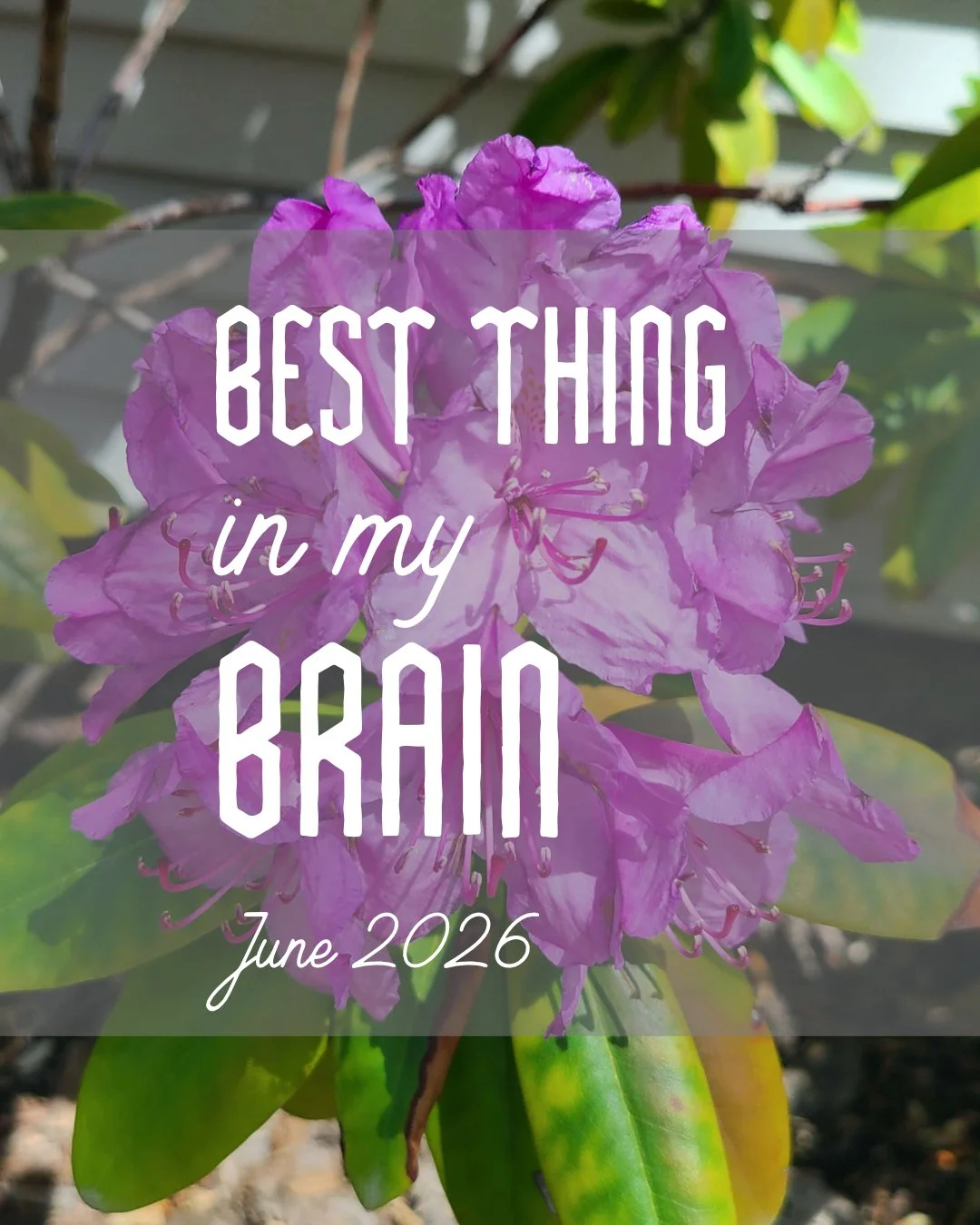 The Best Things in my Brain, June 2026