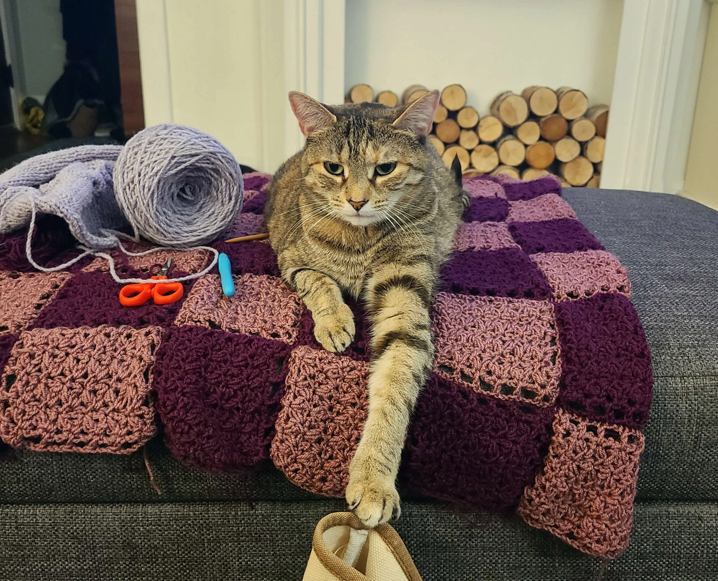 photo of a cat sitting on top of a crocheted blanket with other knitting and crafting supplies. The blanket consists of dark and light purple squares seamed together.