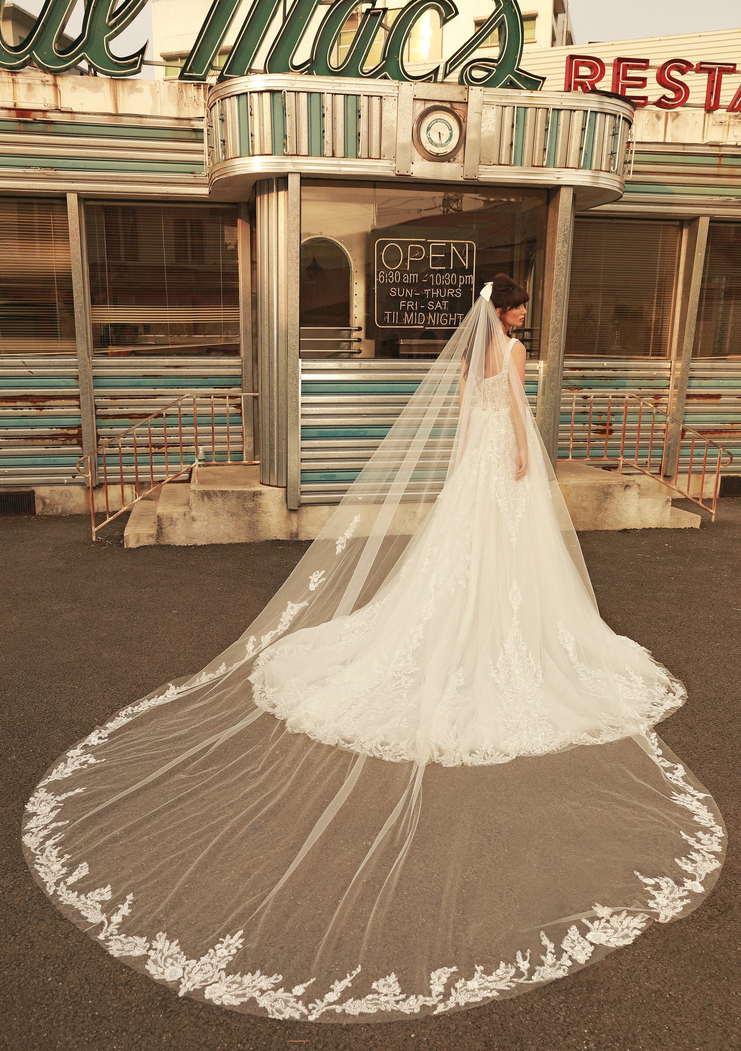 Blanc-de-blanc-bridal-boutique-pittsburgh-dress-wedding-gown-dany-tabet-Avril-Veil.jpg