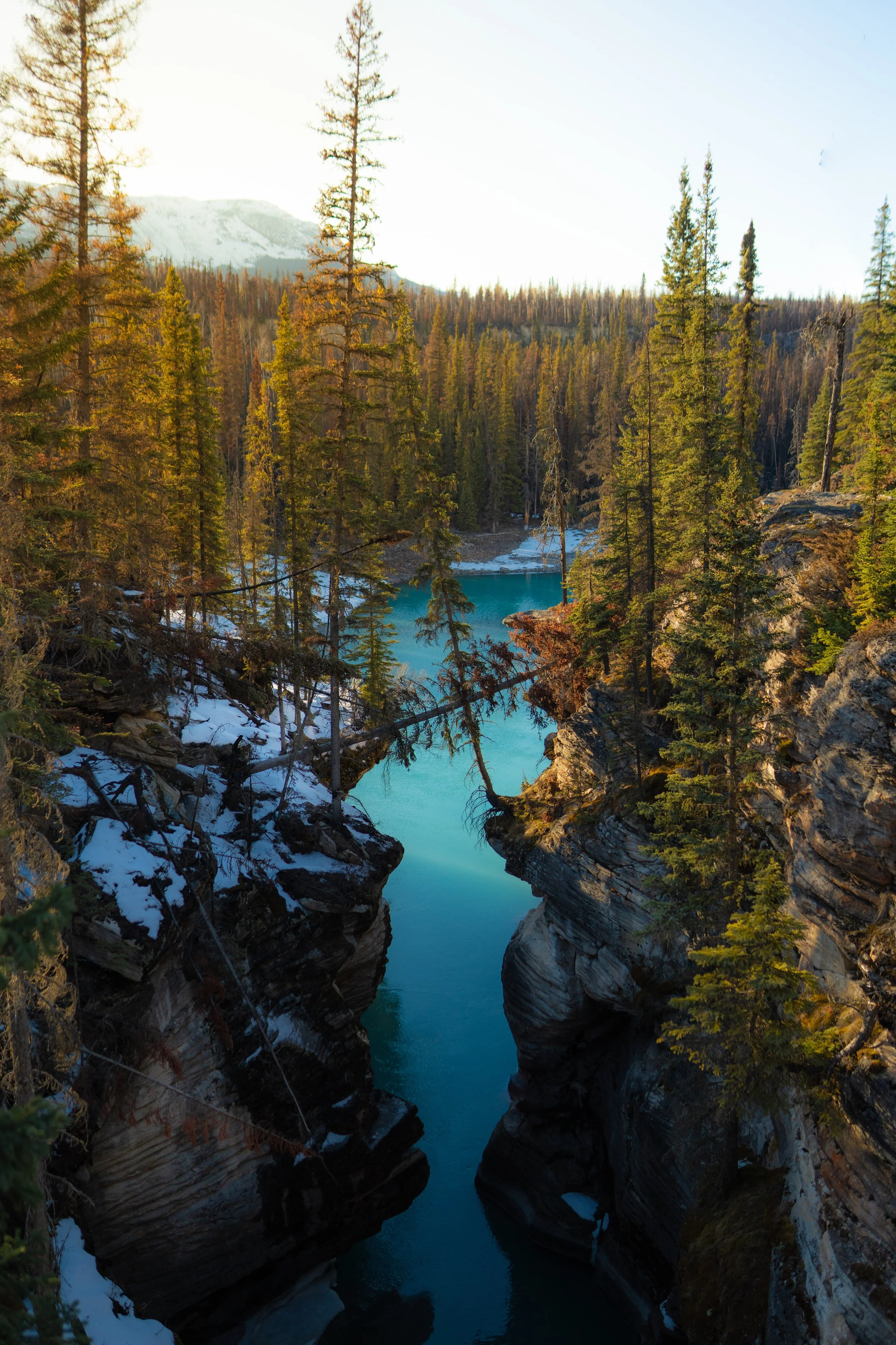 OCK02532.jpg