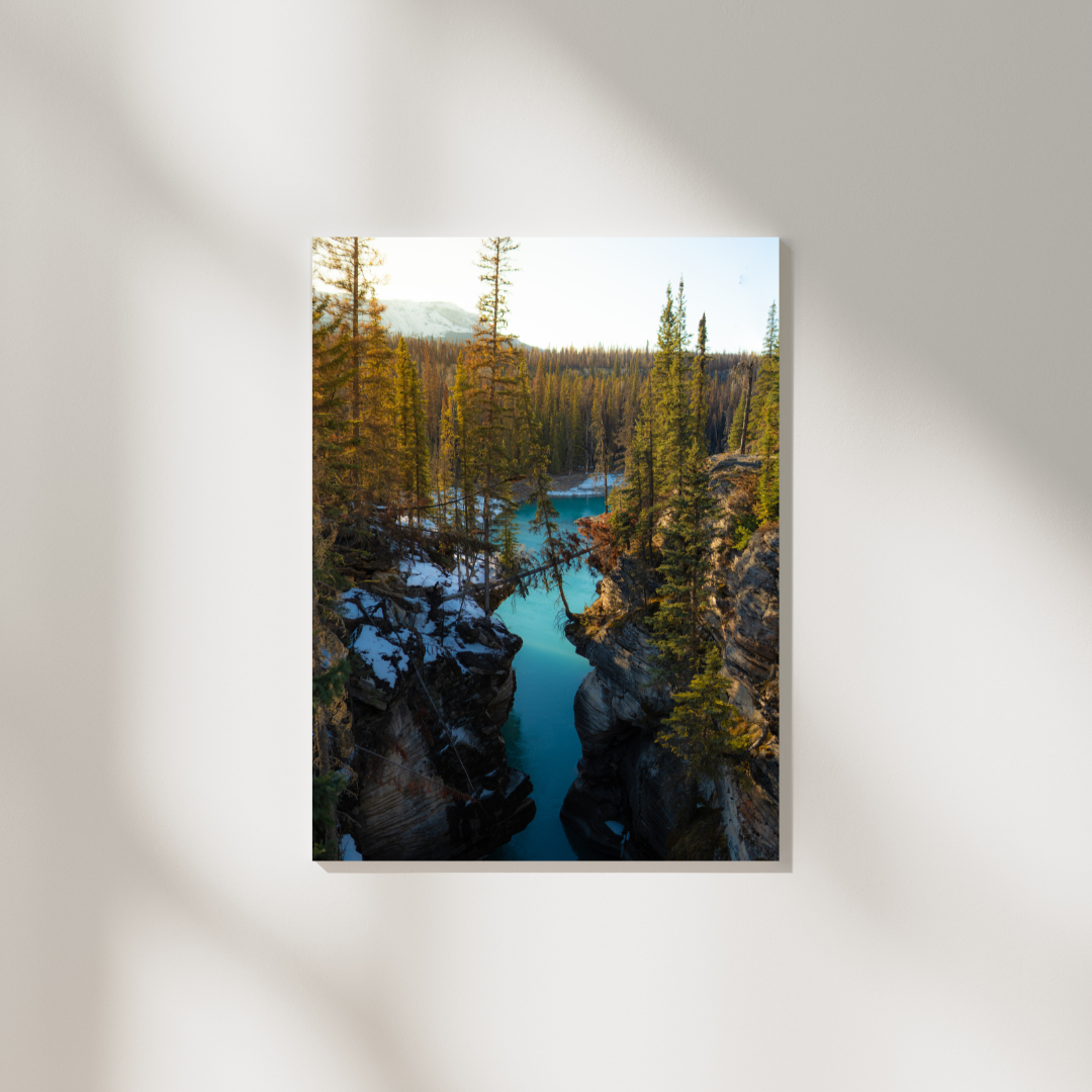 _Wall Art (1).png