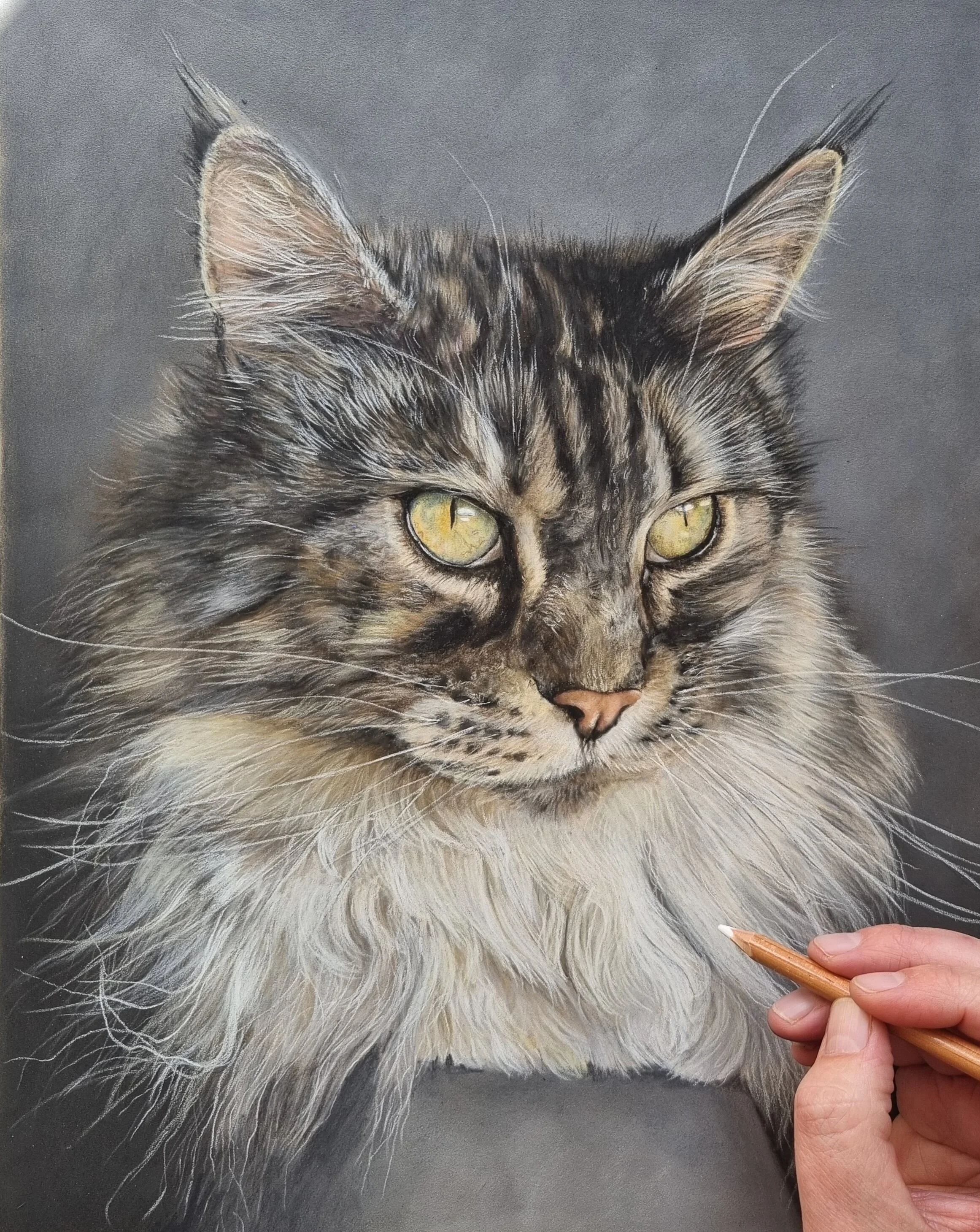 What Actually Matters More Than Your Pastel Supplies 