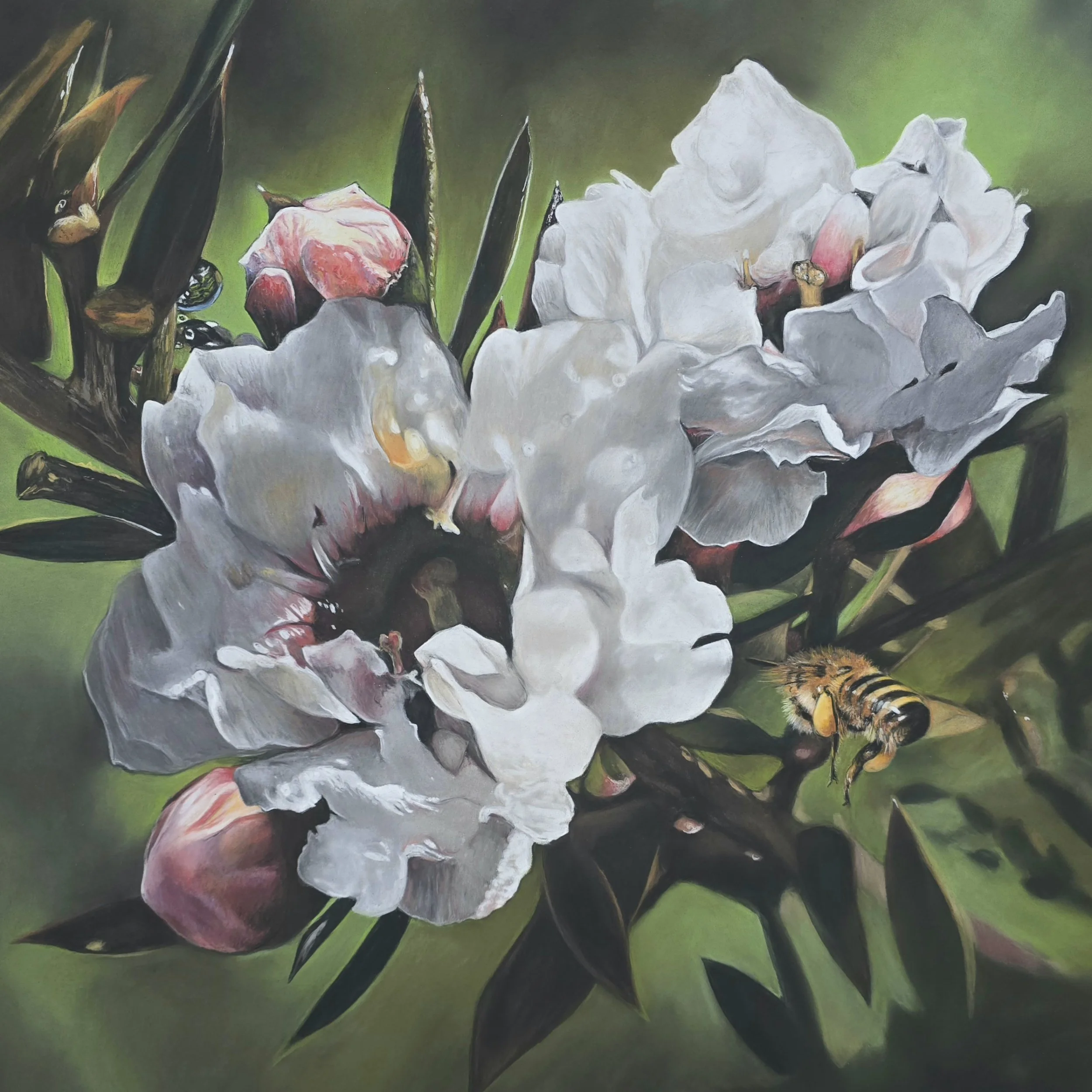 Stubborn Remedy - 60cm x 60cm - $3500 - Available from the Mandarin Tree gallery. Click for purchase details.