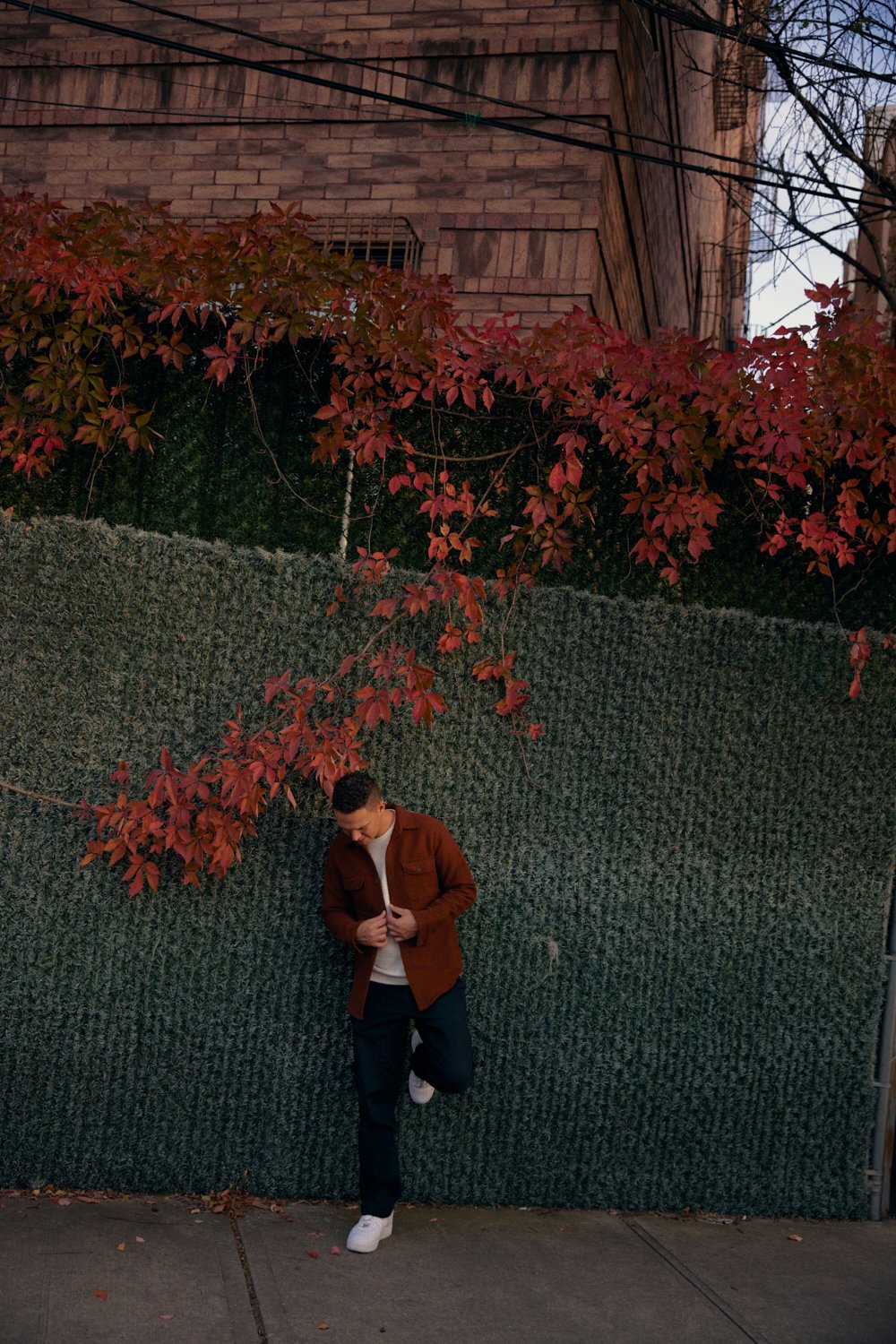 A young man standing against a green textured wall with red autumn leaves above, wearing a brown jacket, white shirt, navy pants, and white sneakers, looking down and adjusting his jacket.