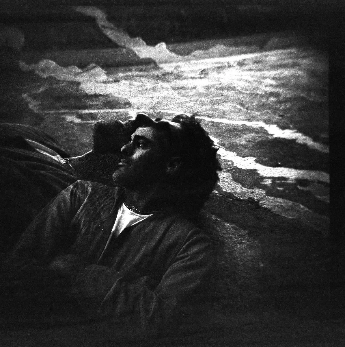 All The Beauty - Blick