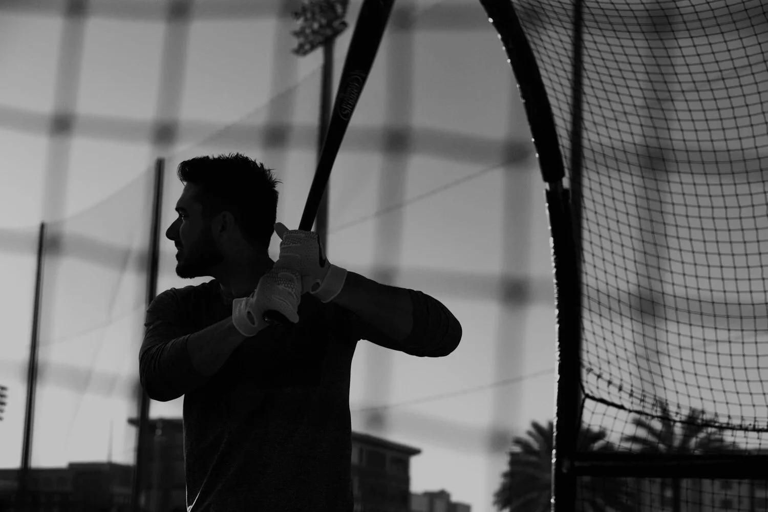 Dream Endeavor X MLB Matt Joyce