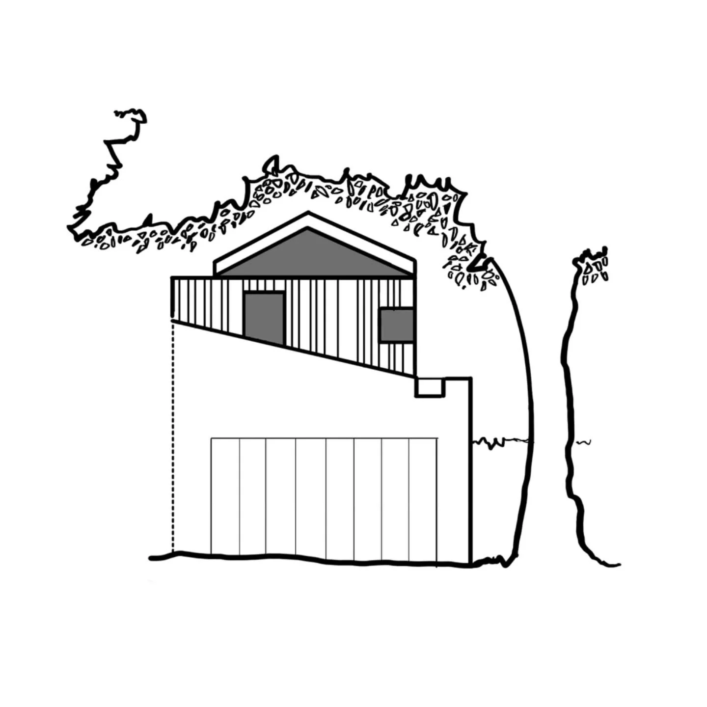 Concept Sketch.

-- 𝗔𝗻𝗻𝗮𝗻𝗱𝗮𝗹𝗲 𝗖𝗮𝗻𝗼𝗽𝘆 --

A garden studio, quietly elevated and immersed in canopy.

.
#wl_AnnandaleCanopy
.
.
.
#Walless #AustralianArchitecture #GardenStudio # NatureFocus